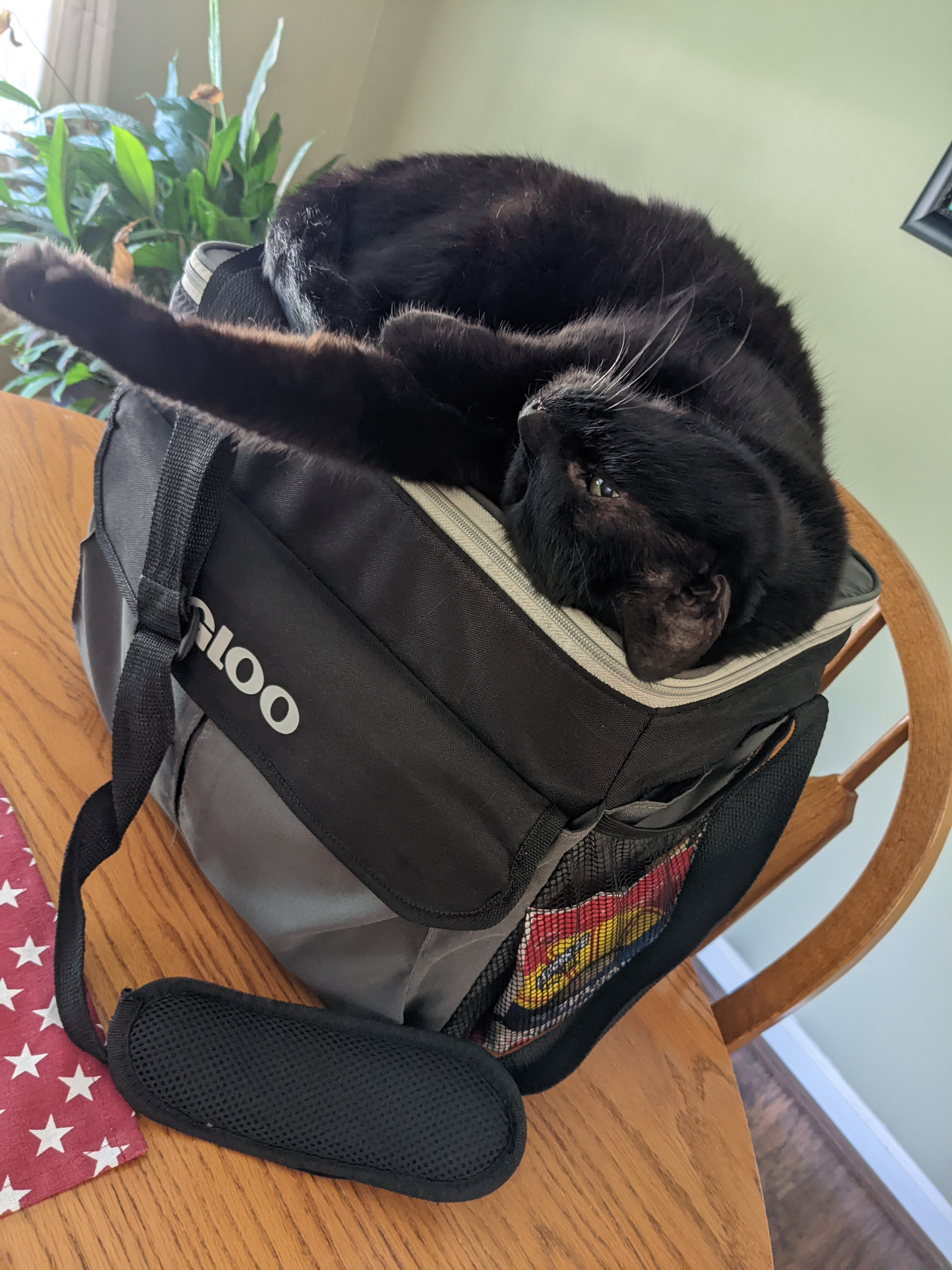 PXL 20220826 172739514