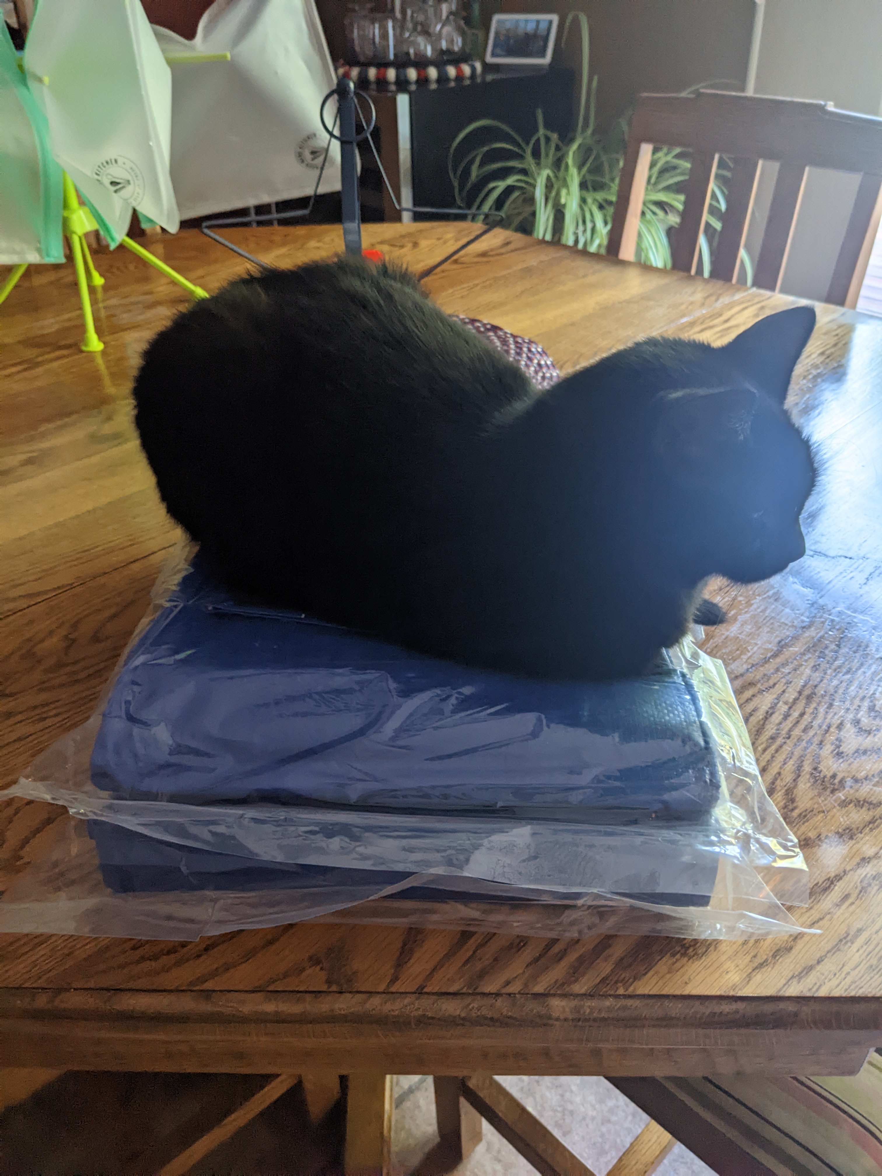 PXL 20220903 121632492