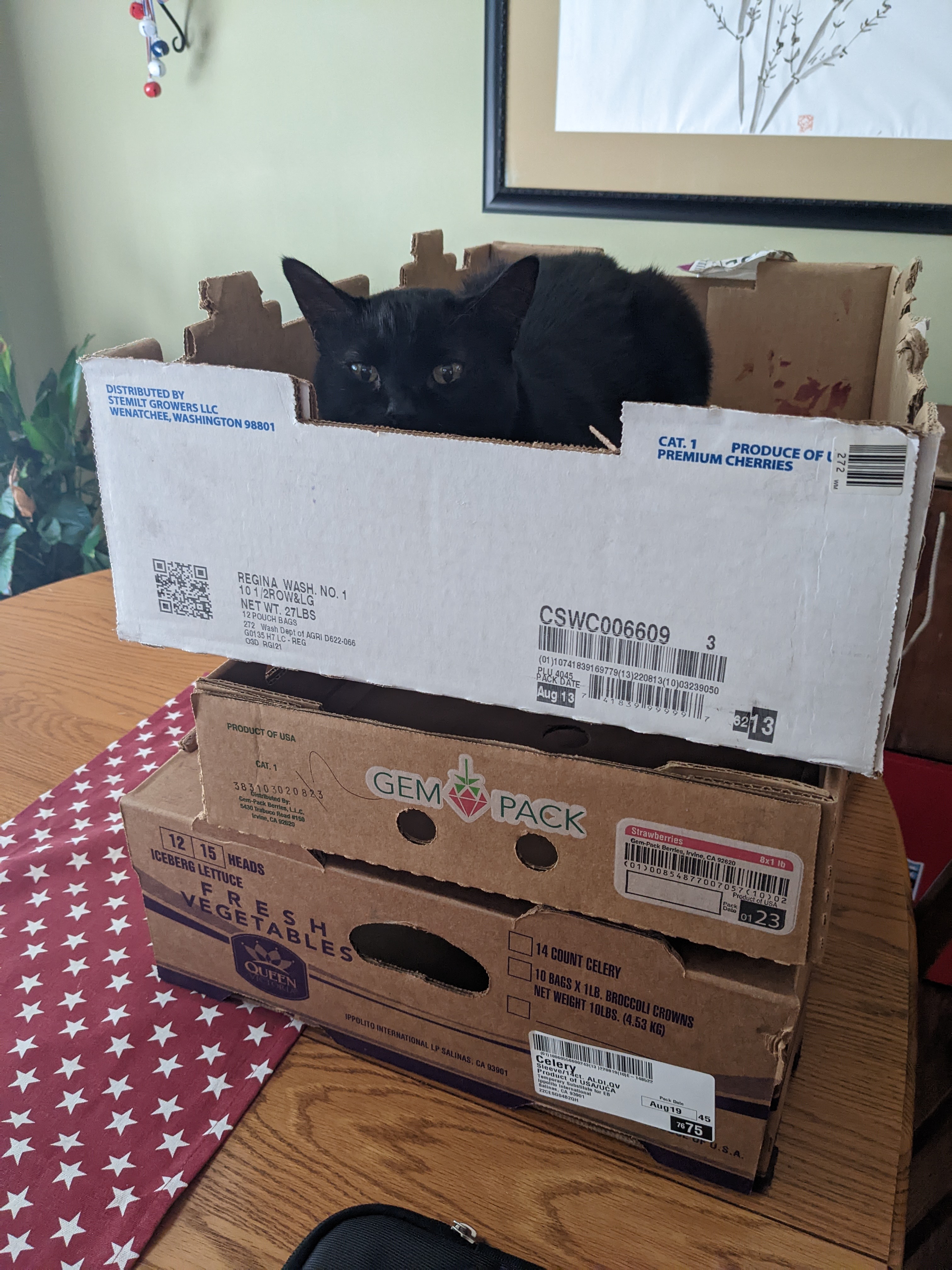 PXL 20220903 161448554