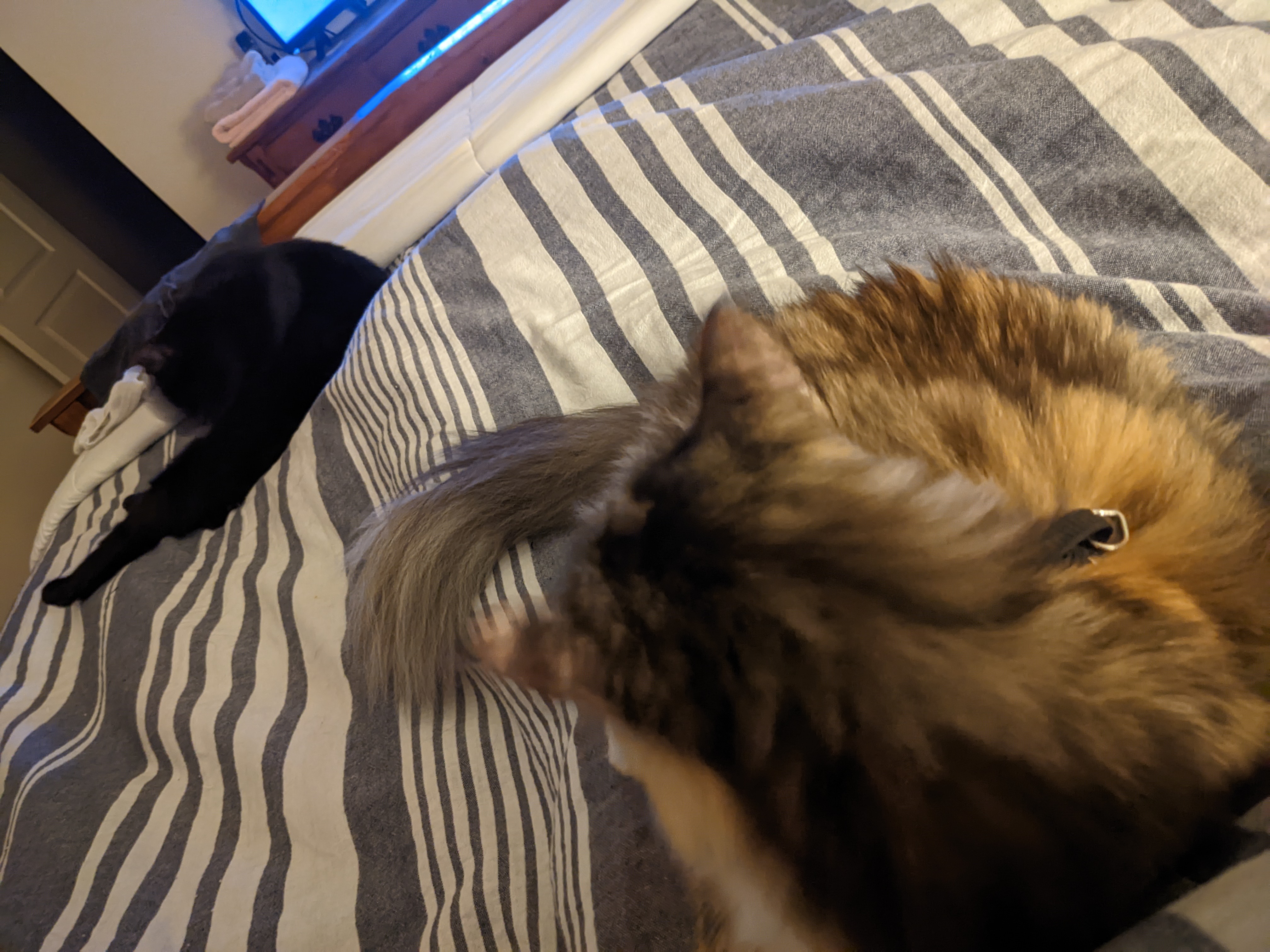 PXL 20220918 114200453