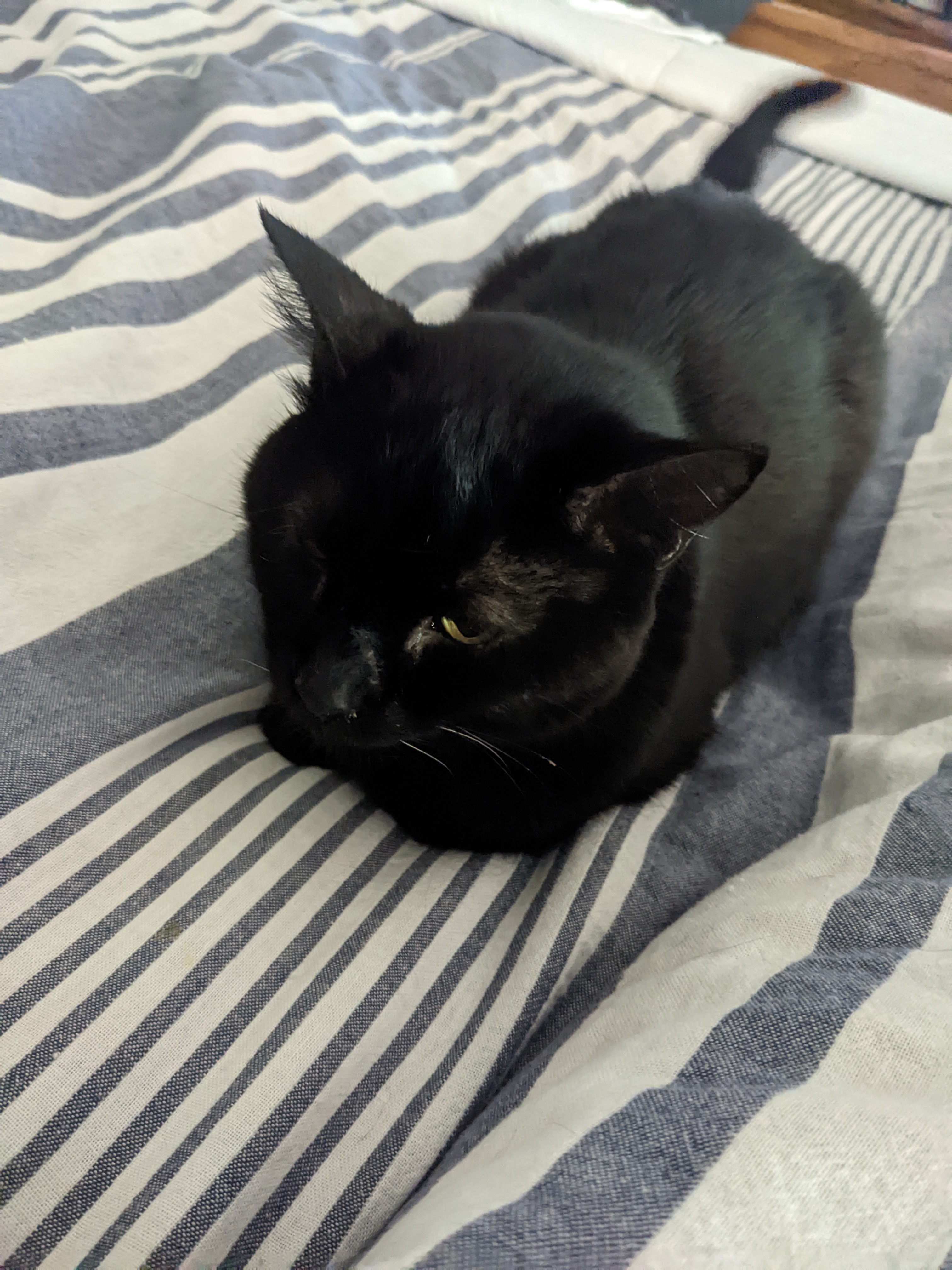 PXL 20220918 141526411