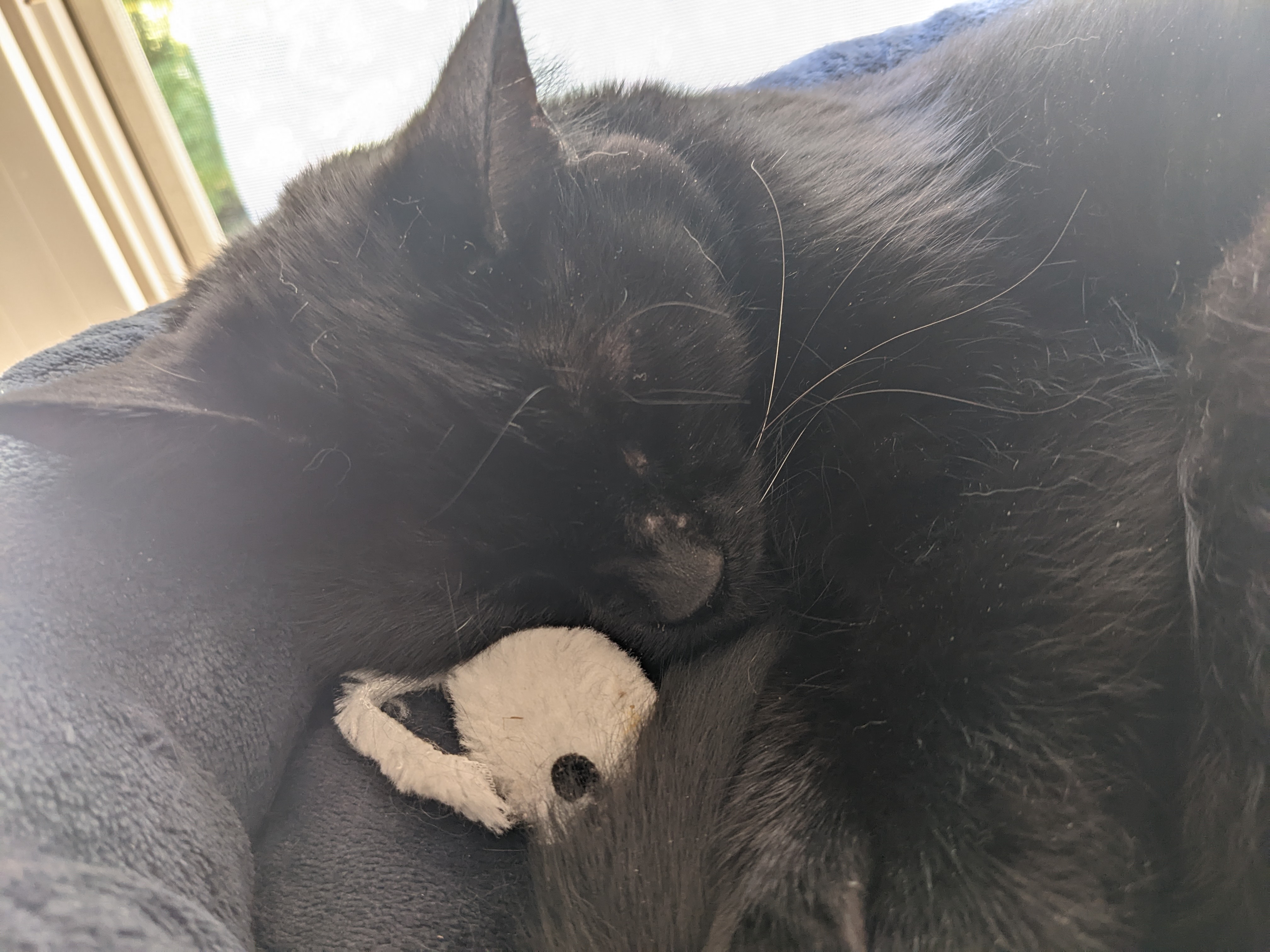 PXL 20220925 182128588