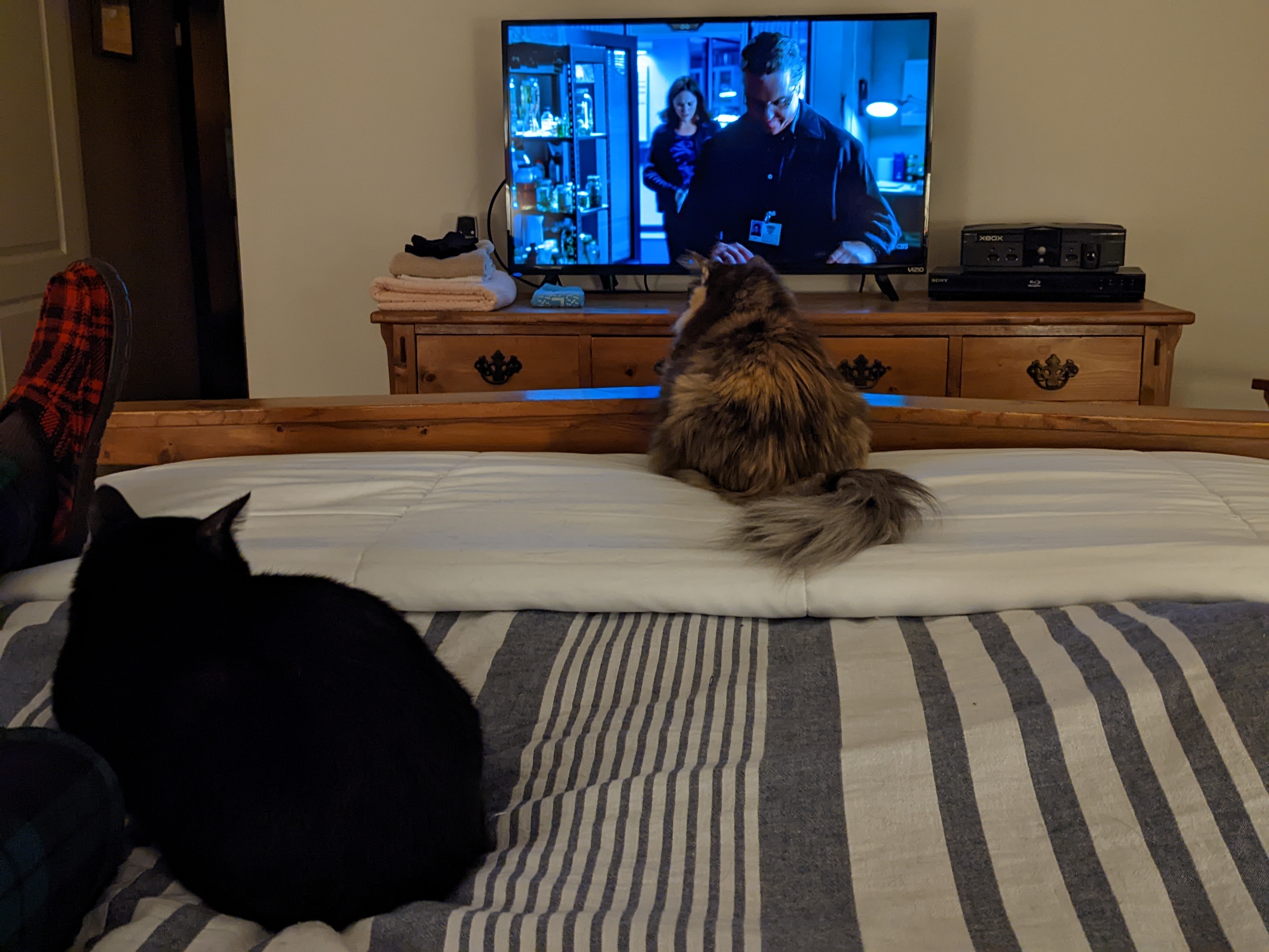 PXL 20220927 020517890