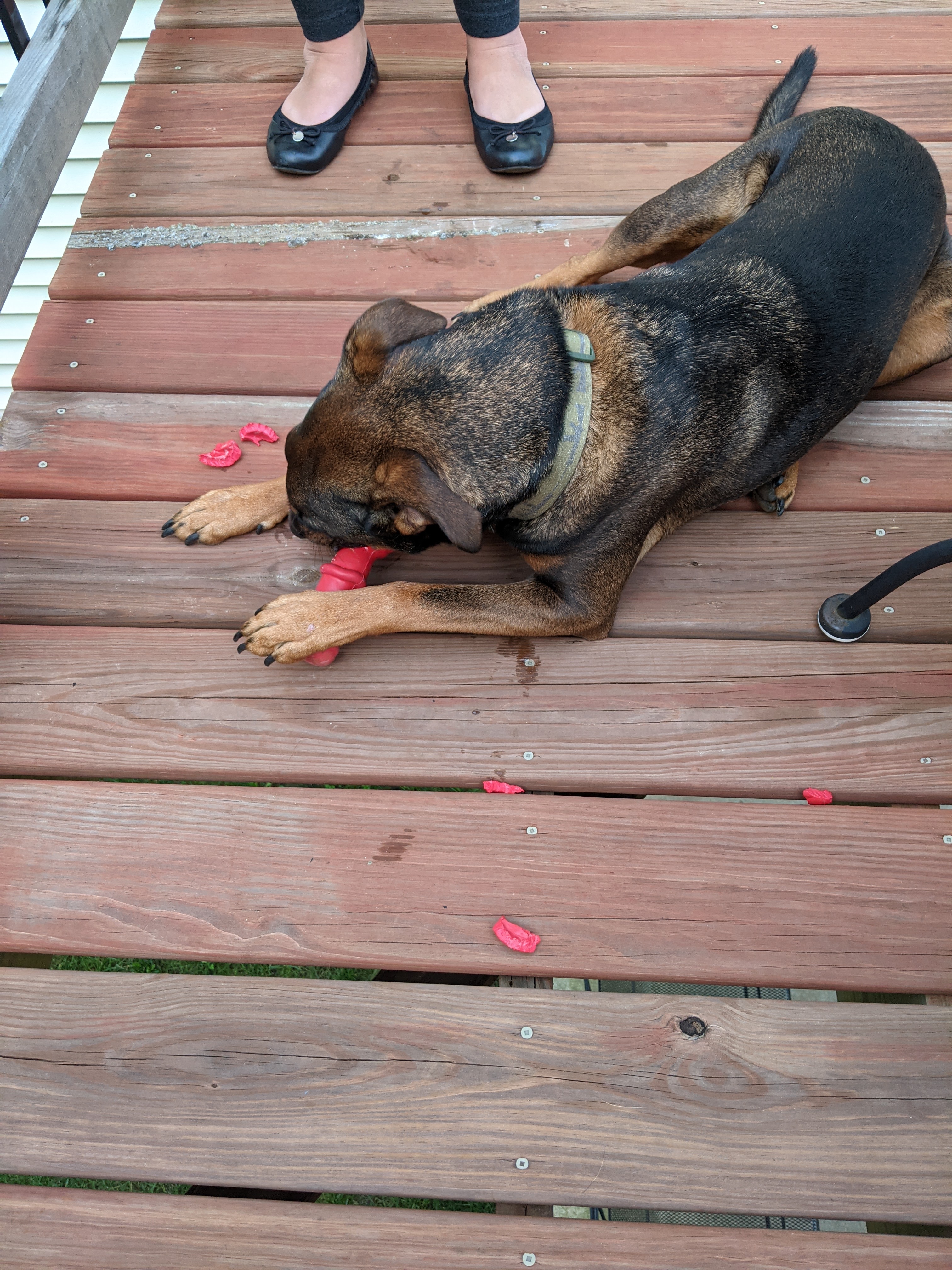 PXL 20200921 233724218.MP