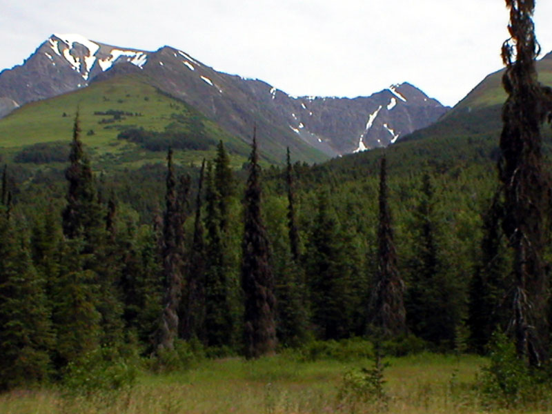 Chugach Range 3