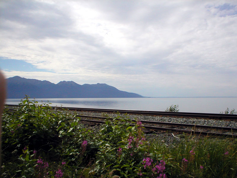 Turnagain Arm