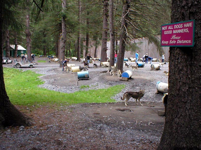 Sled Dog Kennel 2