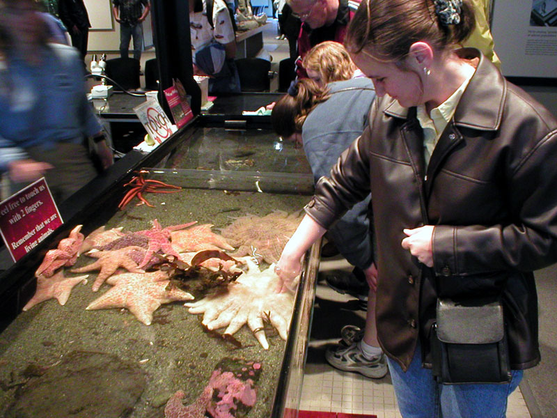 Erica Touching Starfish