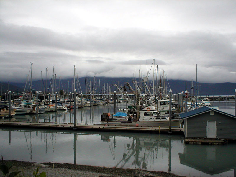 Seward Small Boat Harbor 1
