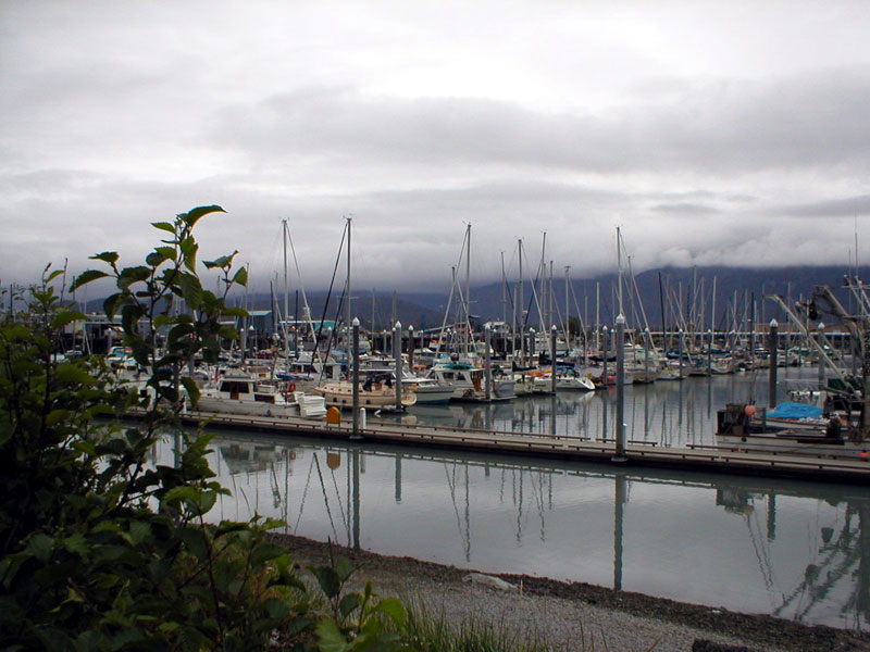Seward Small Boat Harbor 2
