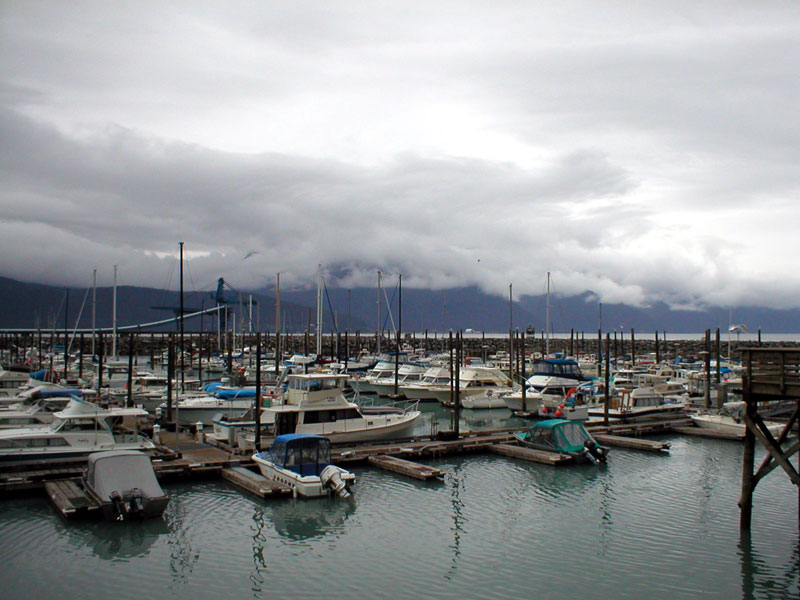 Seward Small Boat Harbor 3