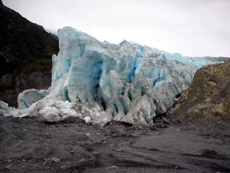 Exit Glacier 1