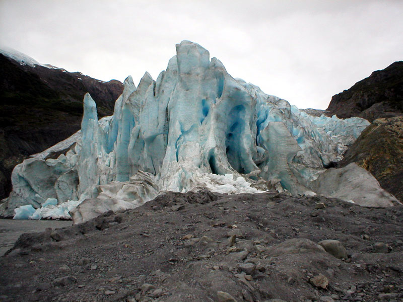 Exit Glacier 3