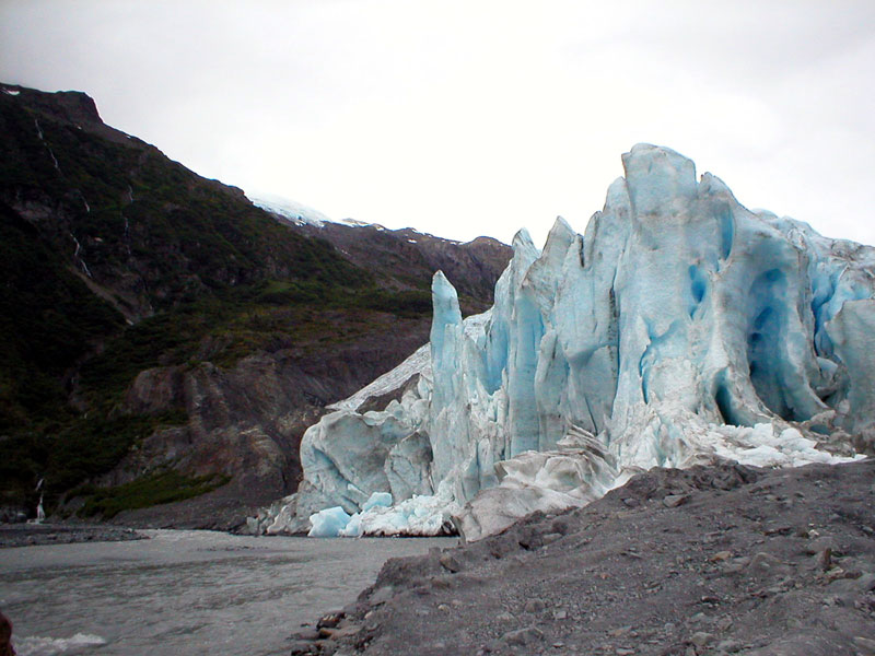 Exit Glacier 4