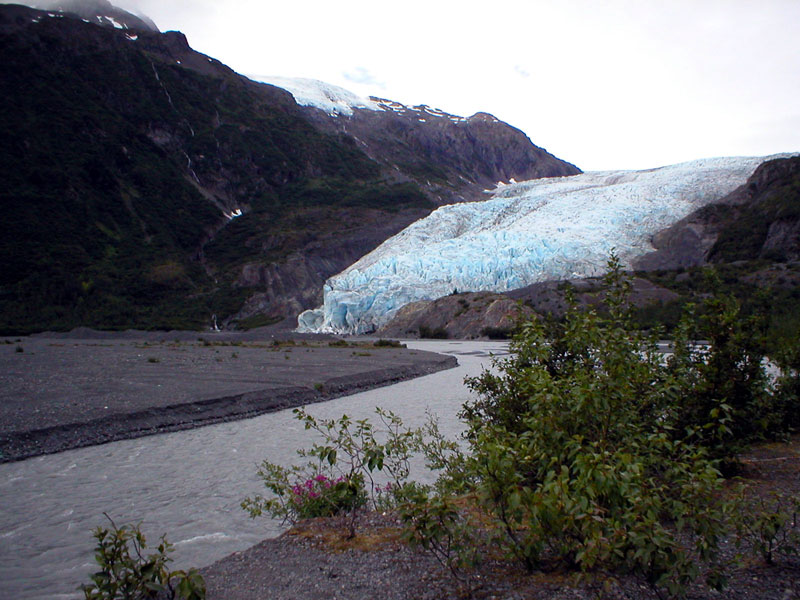 Exit Glacier 7