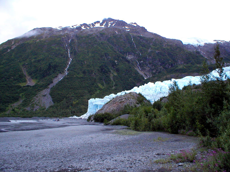 Exit Glacier 9