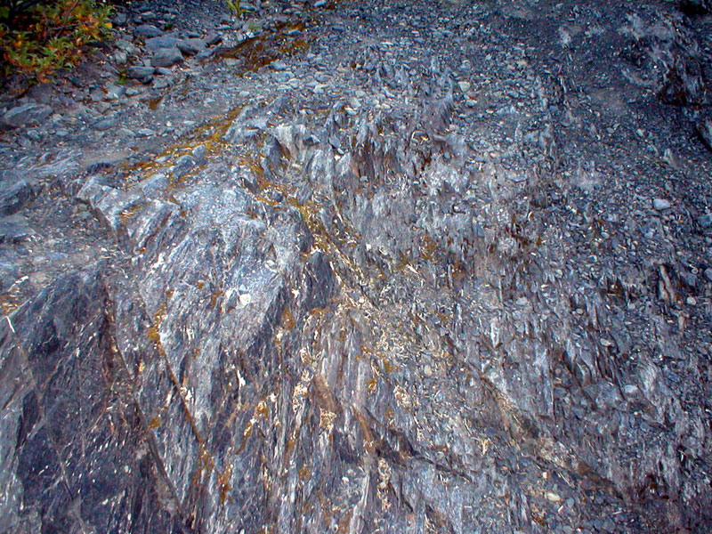 Glaciated Rock 1