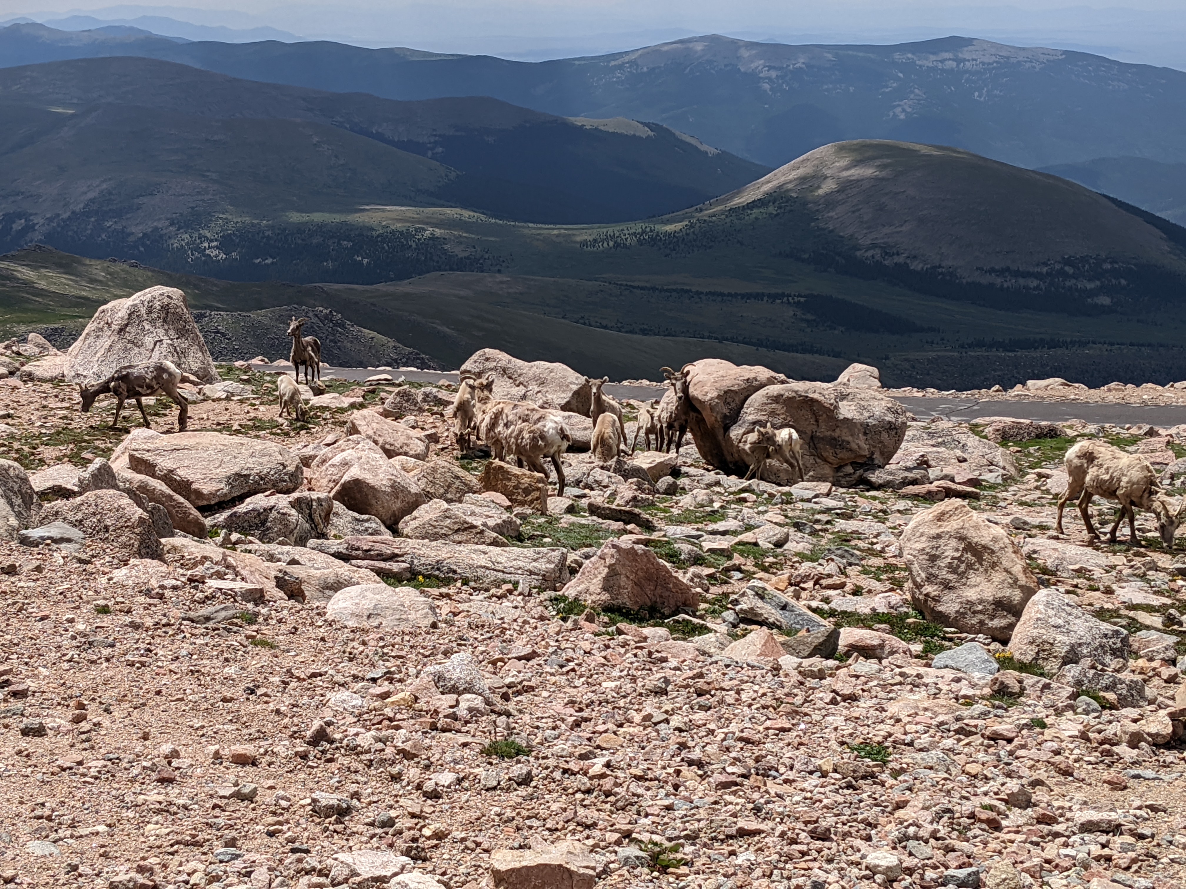 PXL 20220804 180305588