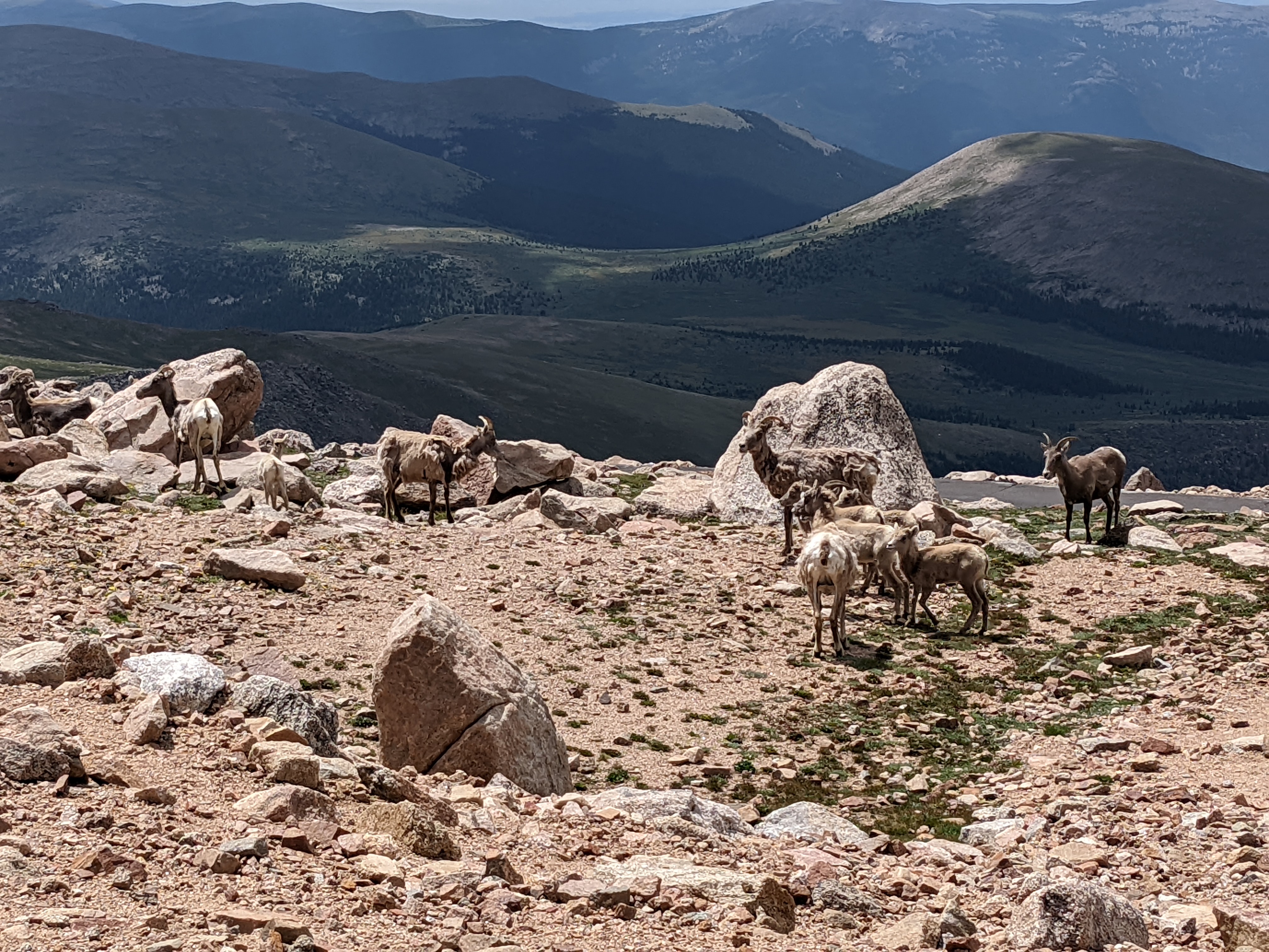 PXL 20220804 180358728