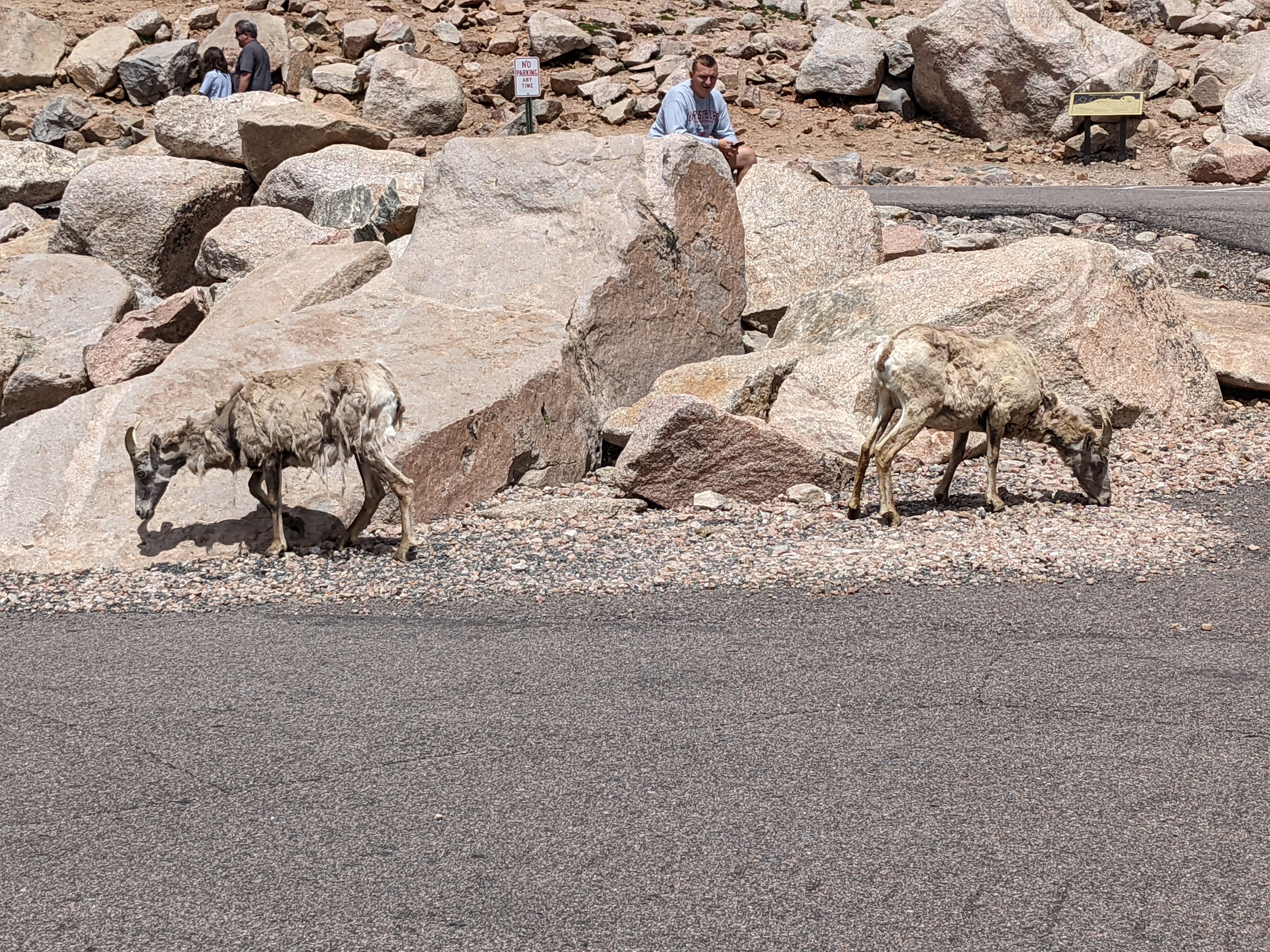 PXL 20220804 181736476