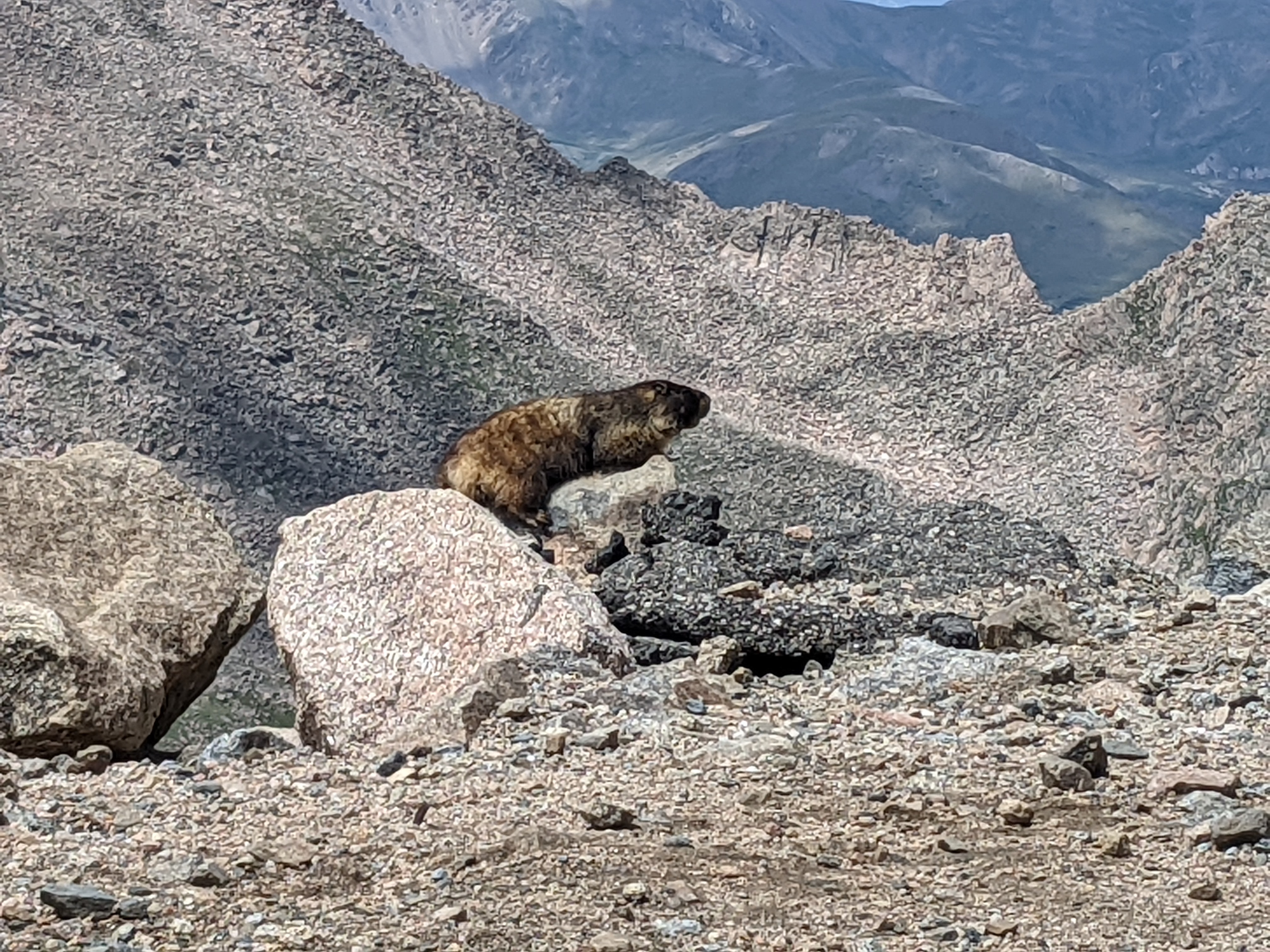 PXL 20220804 185136025