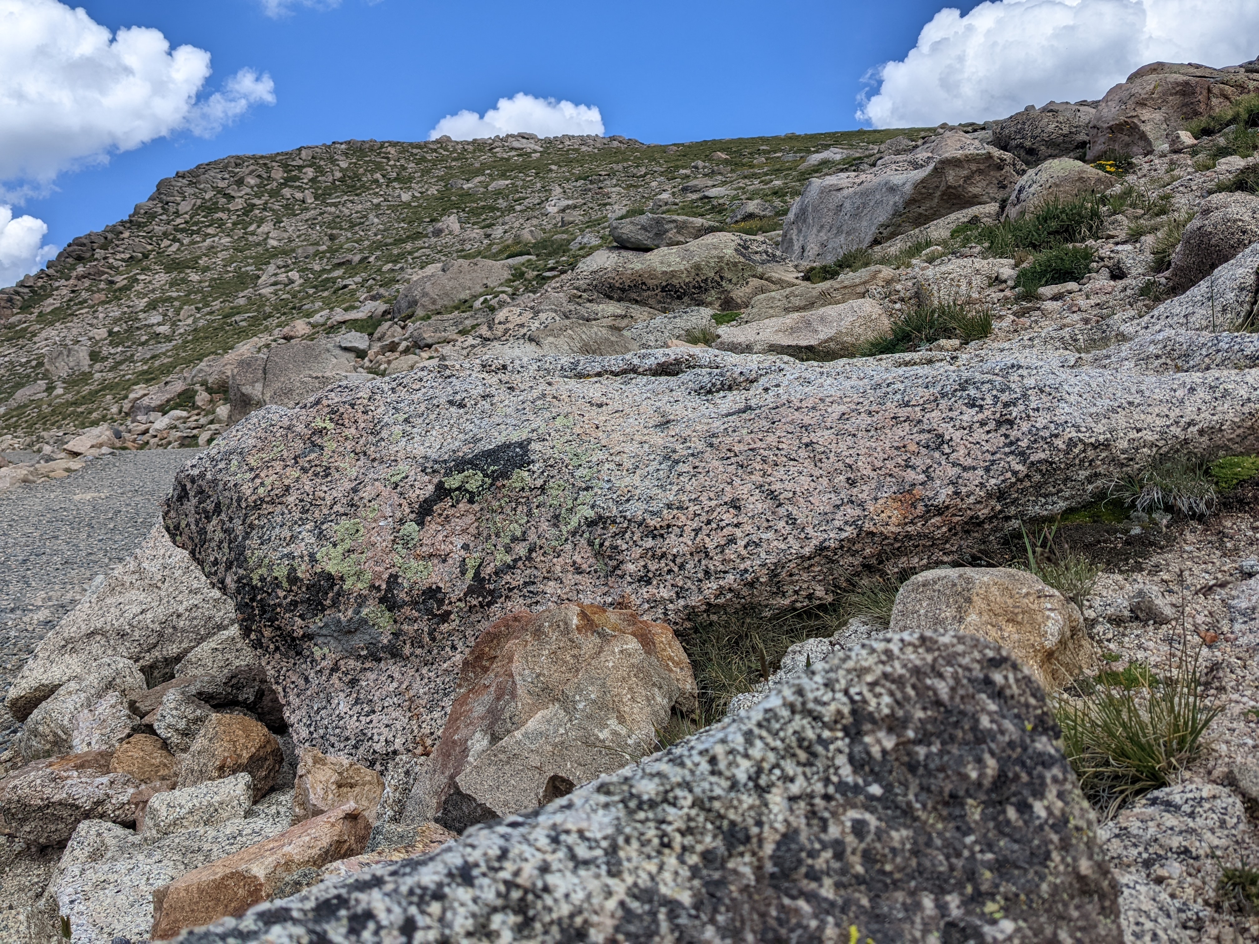 PXL 20220804 193135529