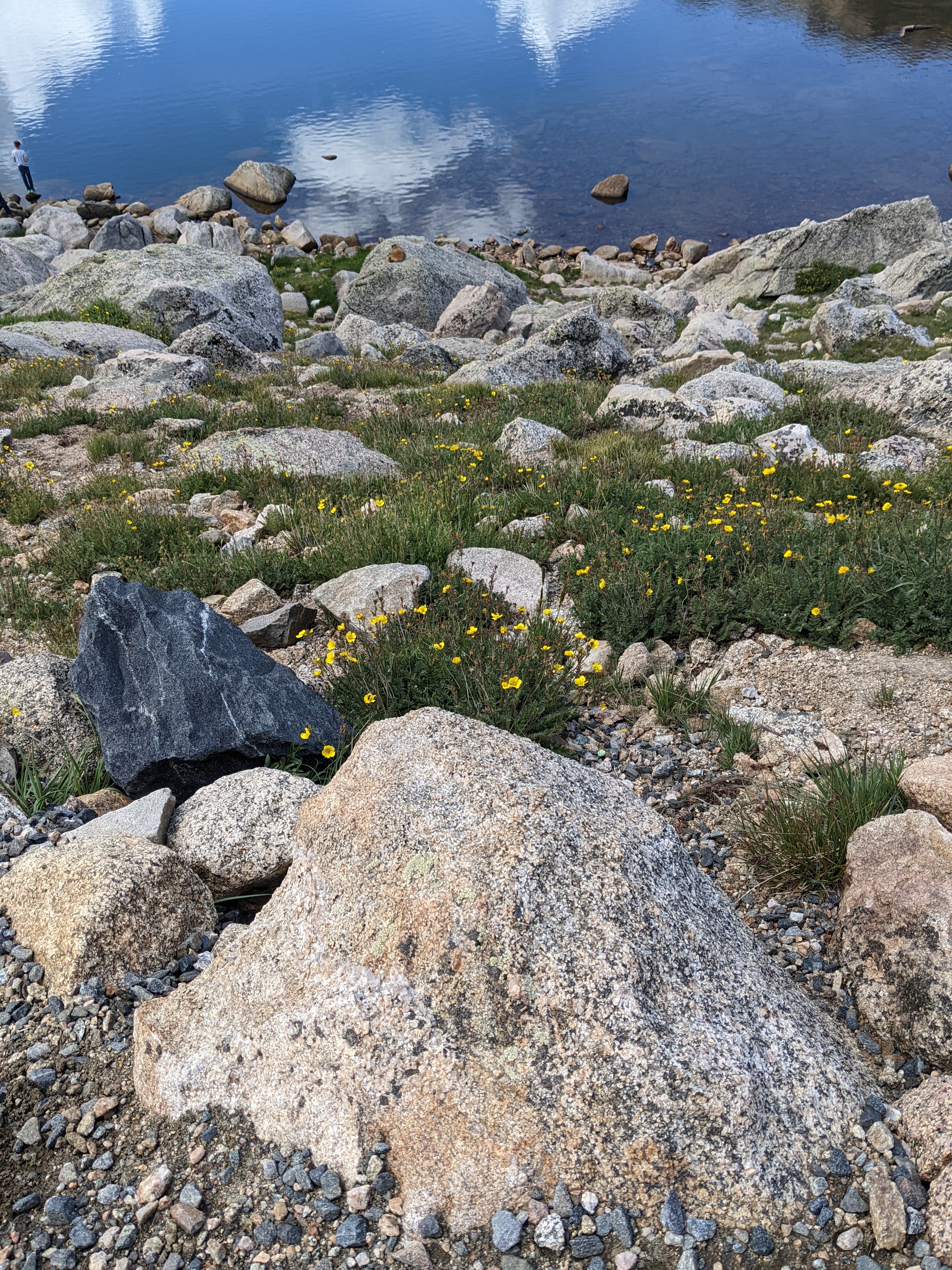 PXL 20220804 193211959