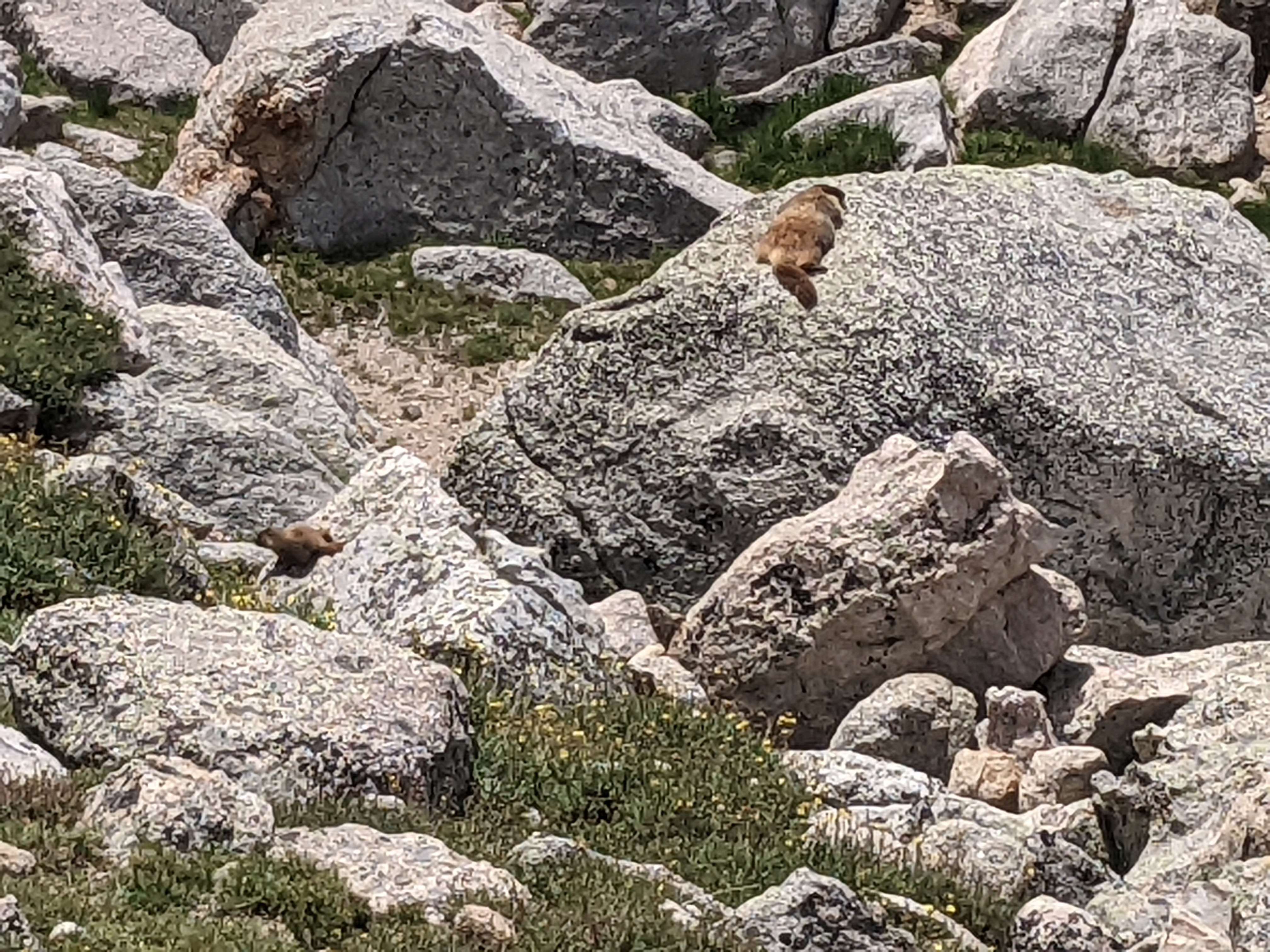 PXL 20220804 194902228