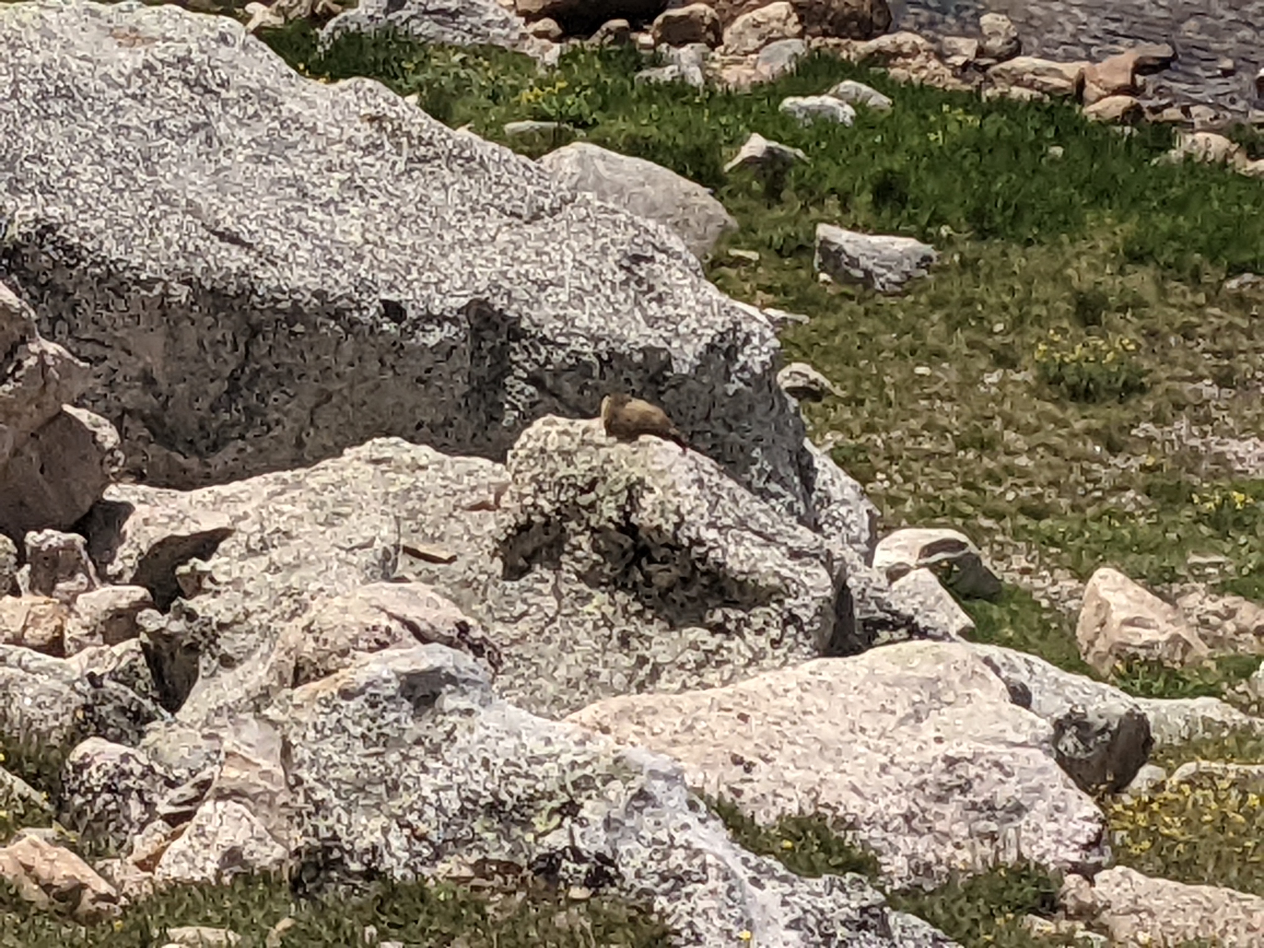 PXL 20220804 194923973