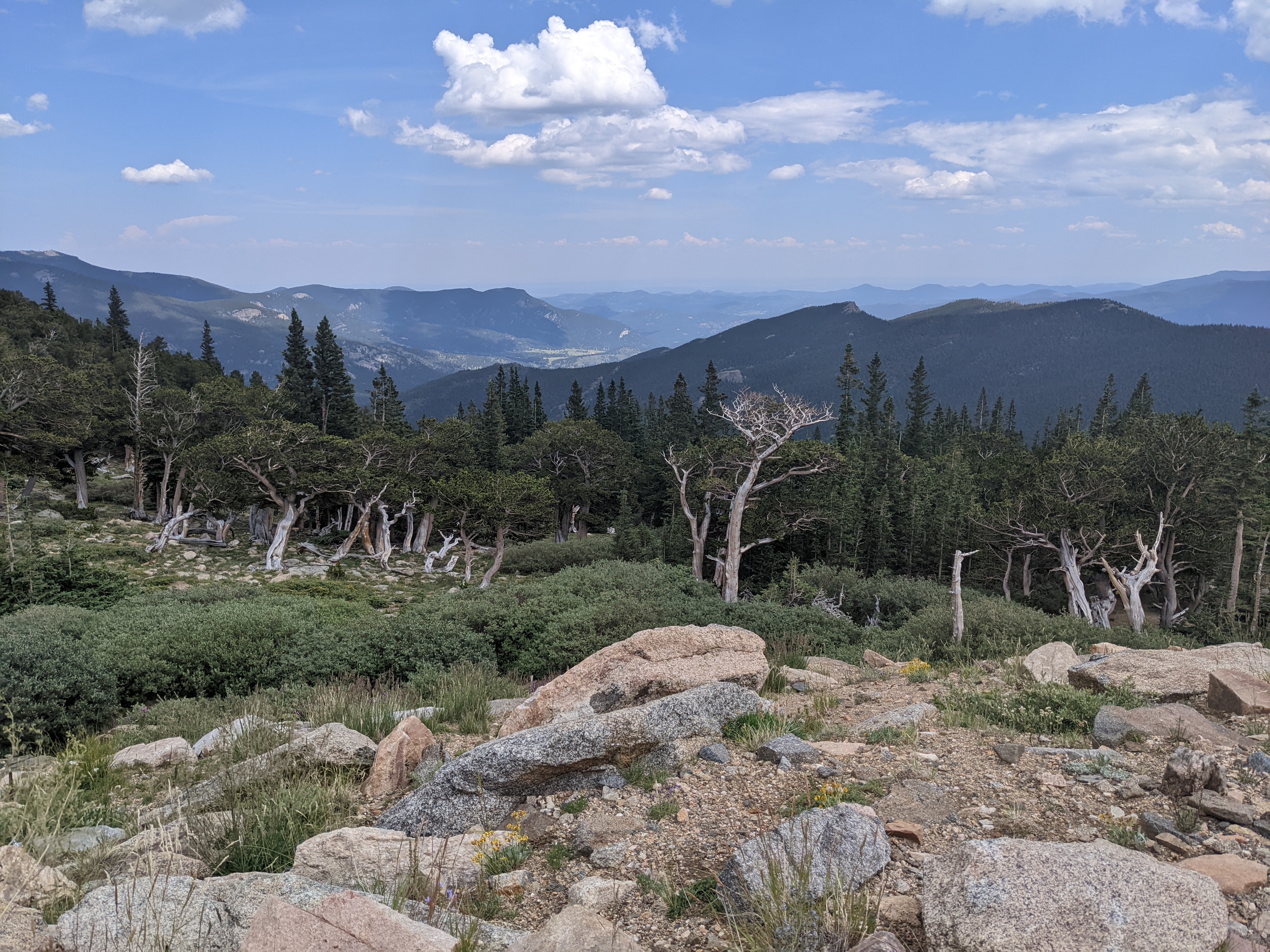 PXL 20220804 201507464