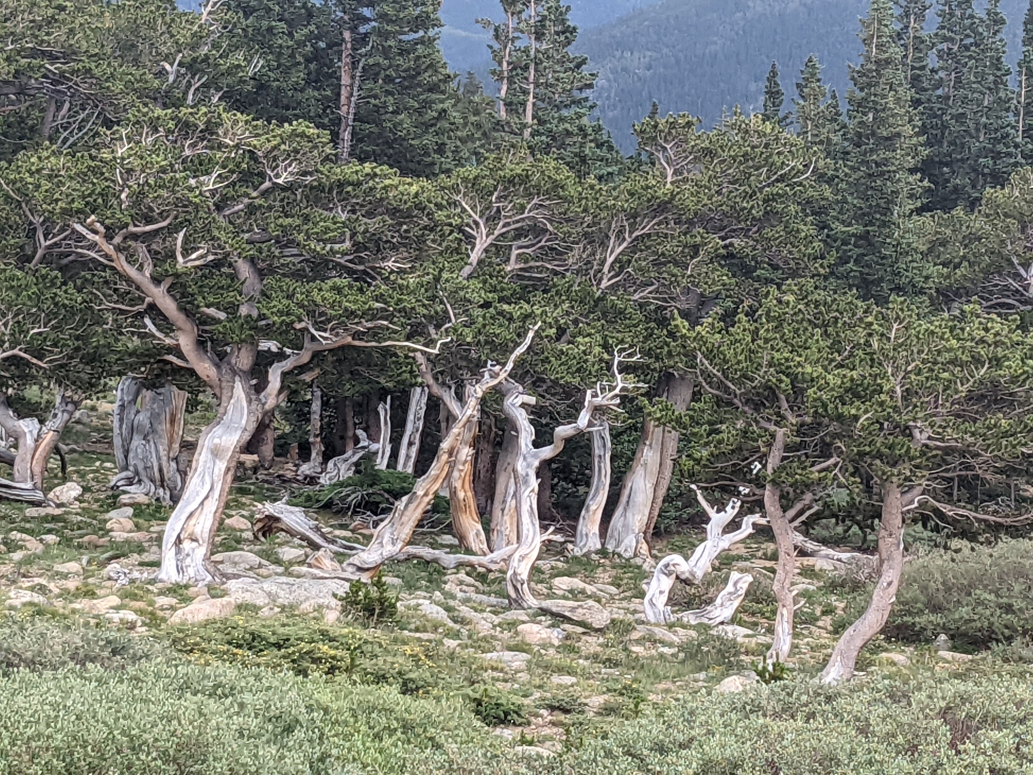 PXL 20220804 201511495