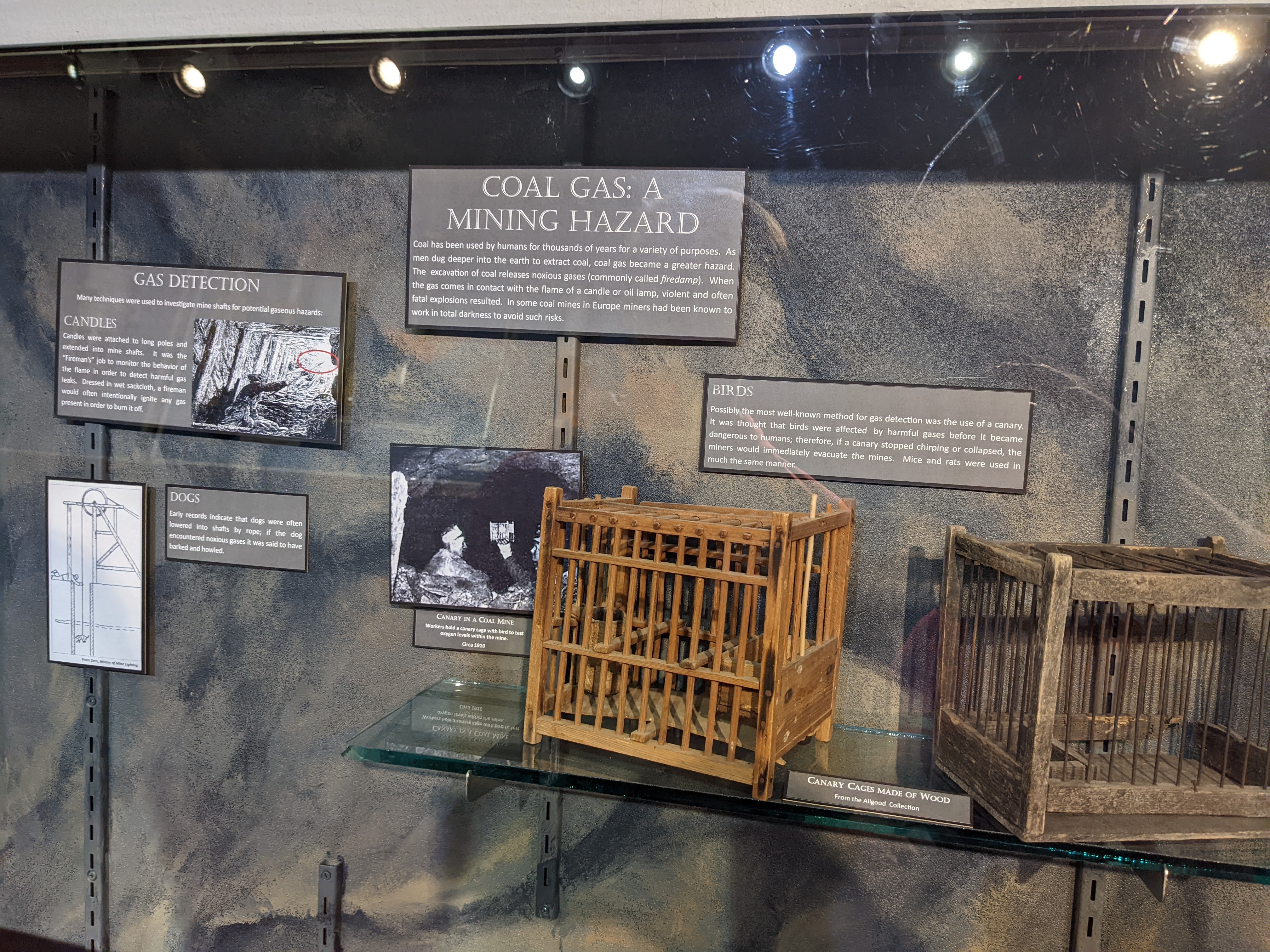 PXL 20220805 165607130