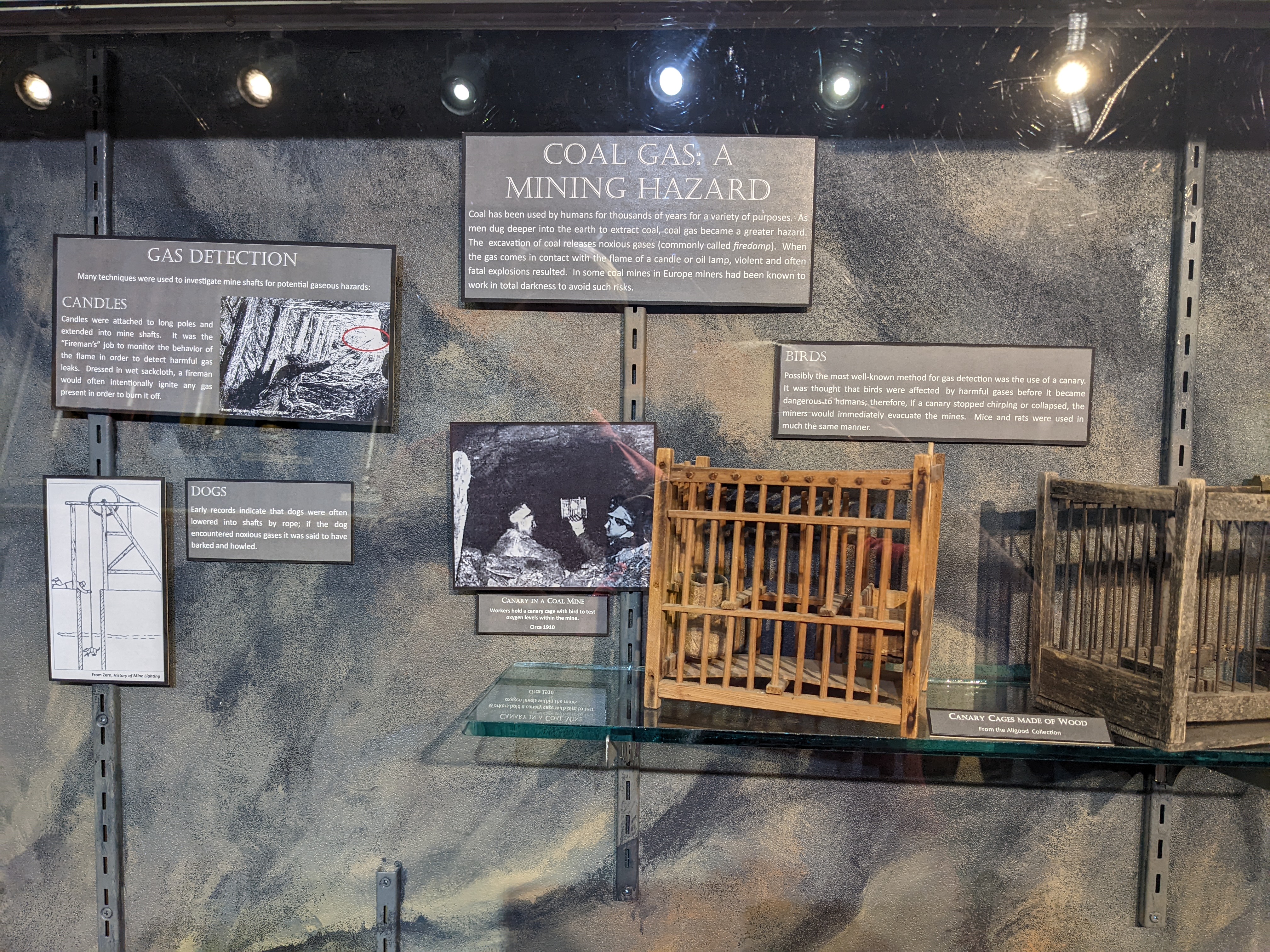 PXL 20220805 165612378