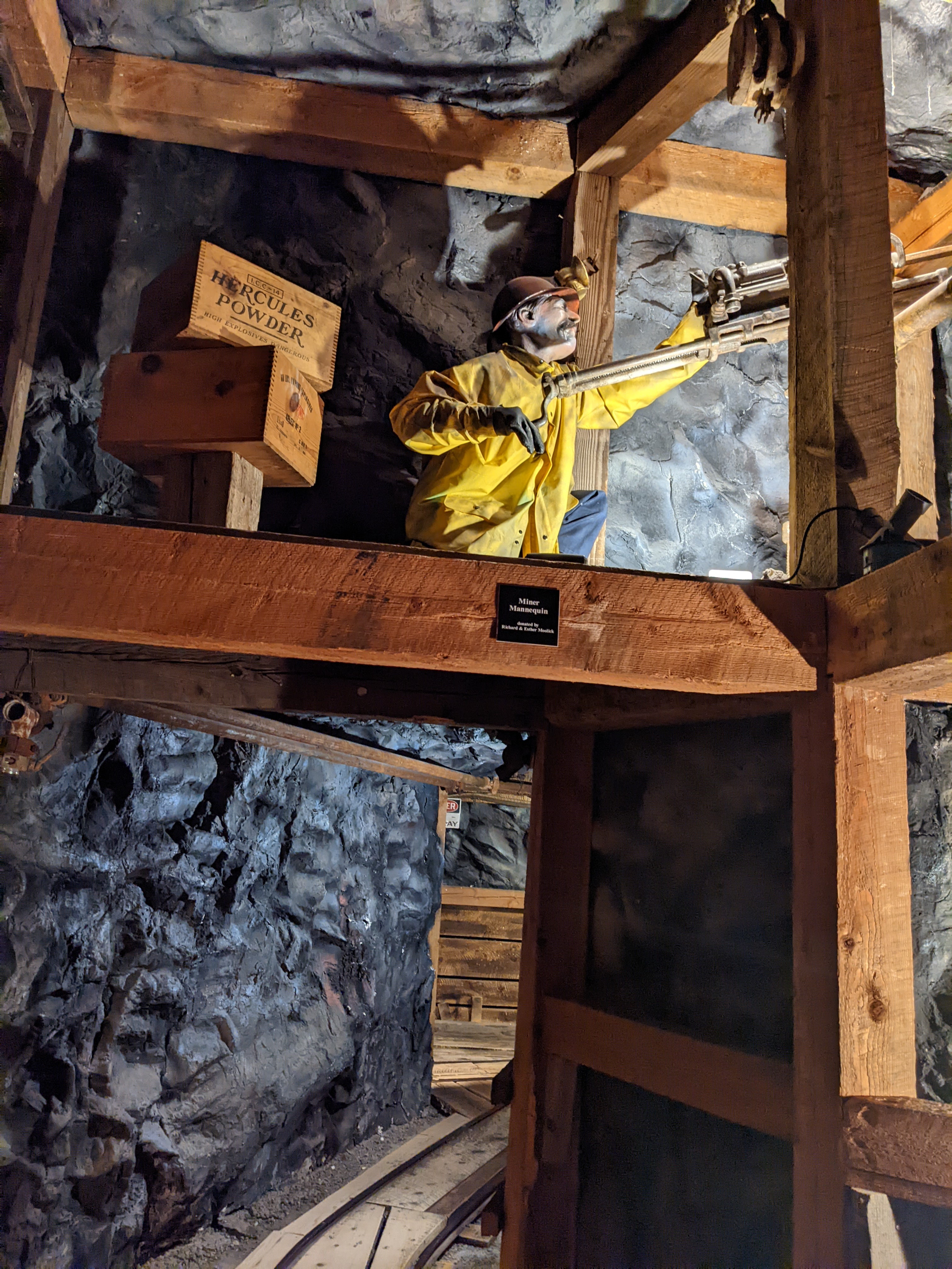 PXL 20220805 181153616