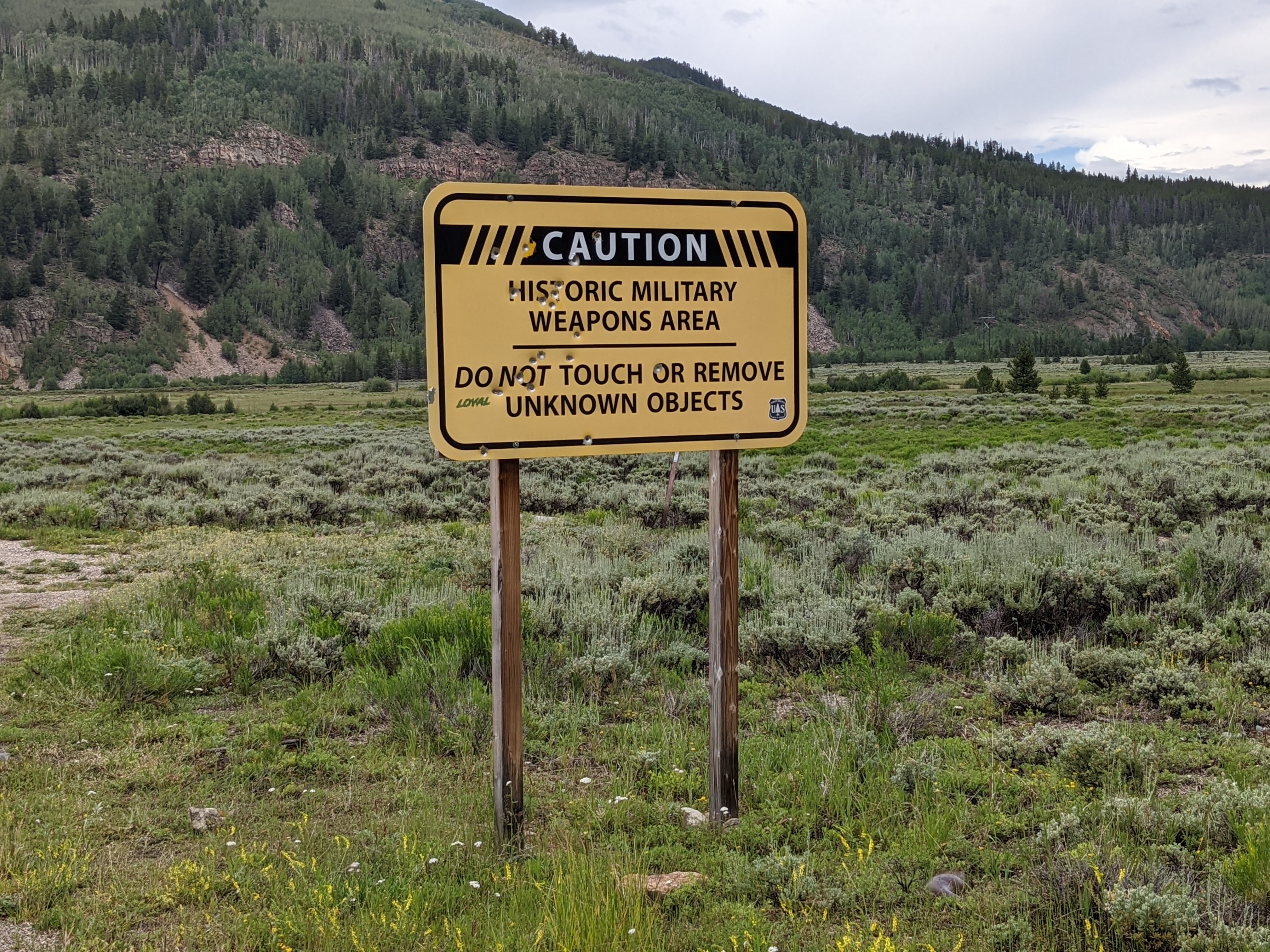 PXL 20220805 203945953