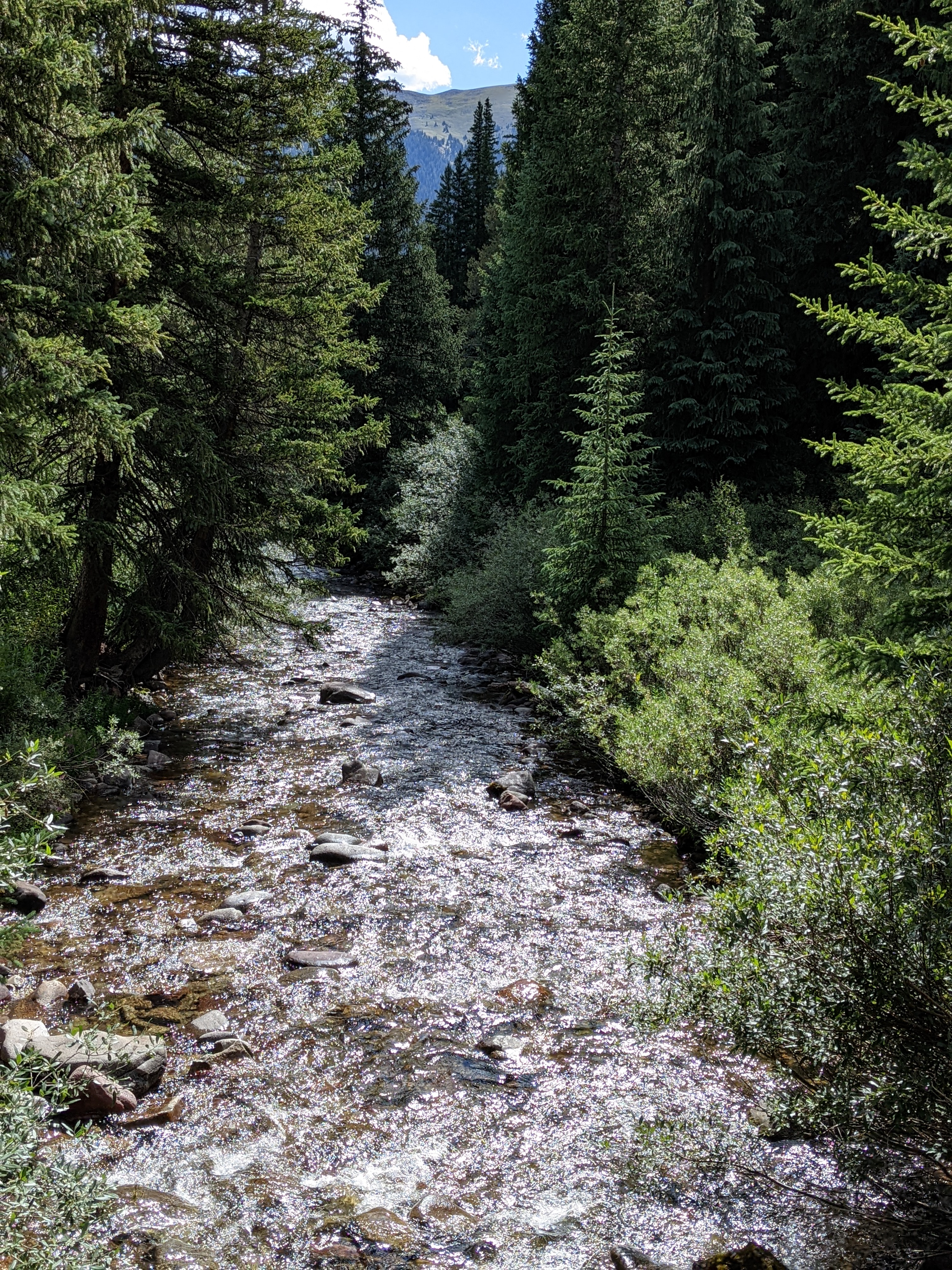 PXL 20220807 161119524