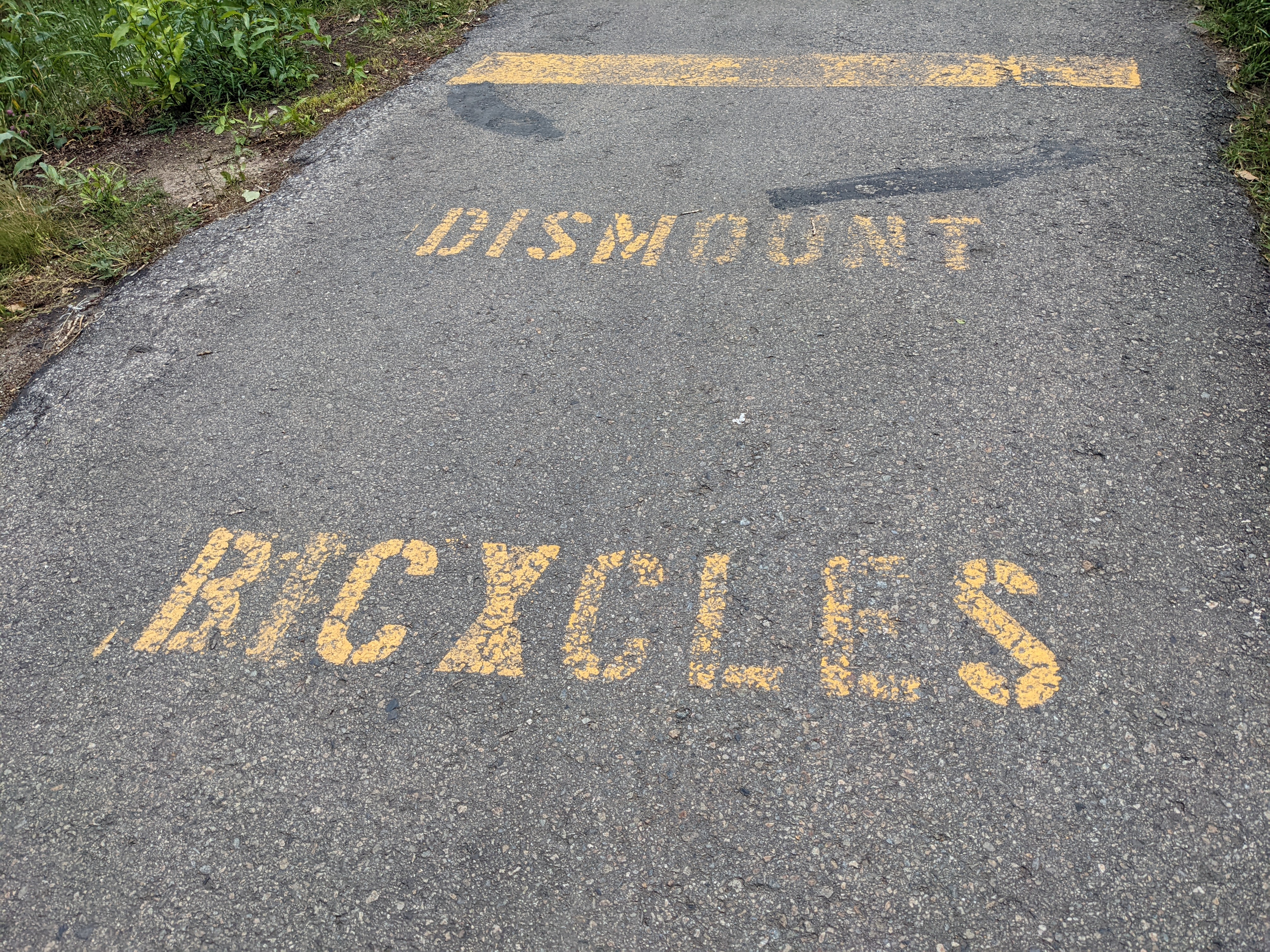 PXL 20220808 002802808