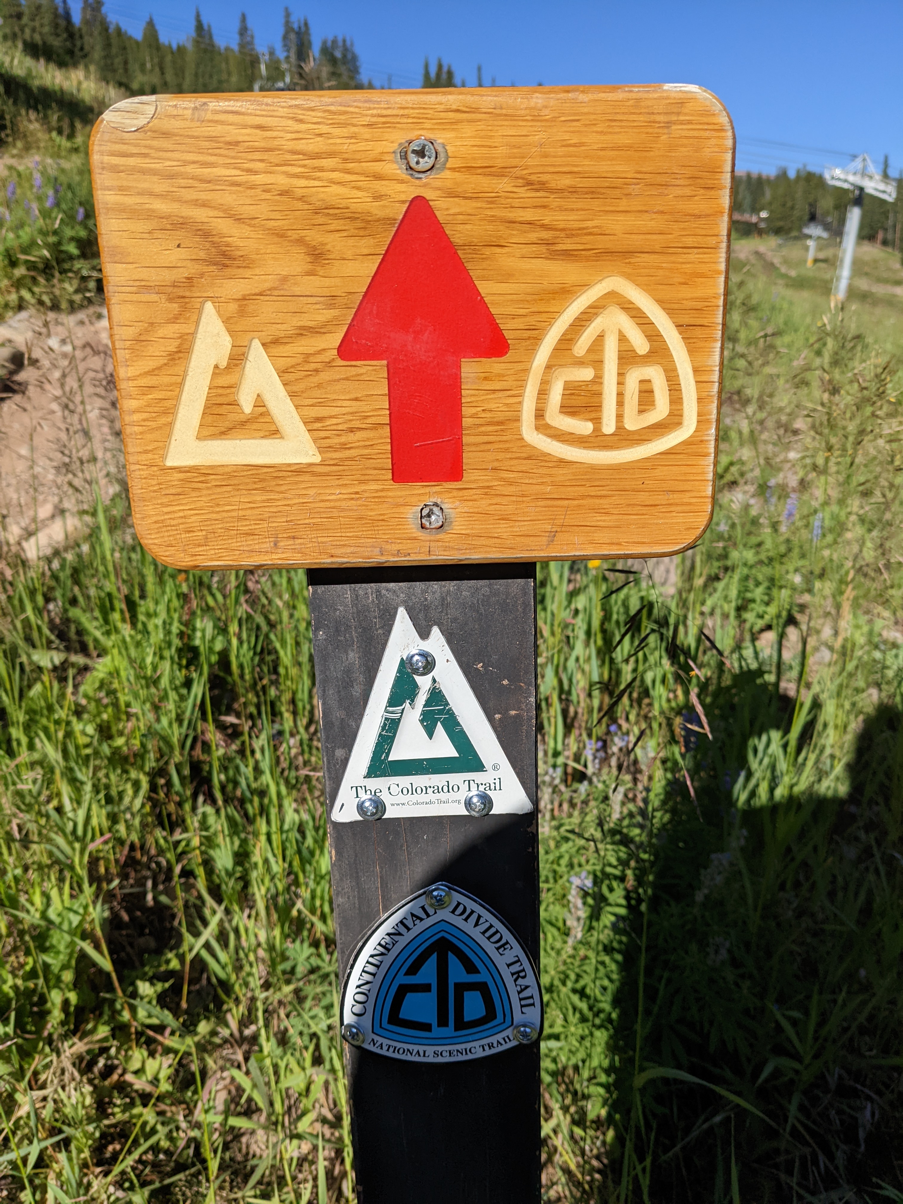 PXL 20220809 144554706