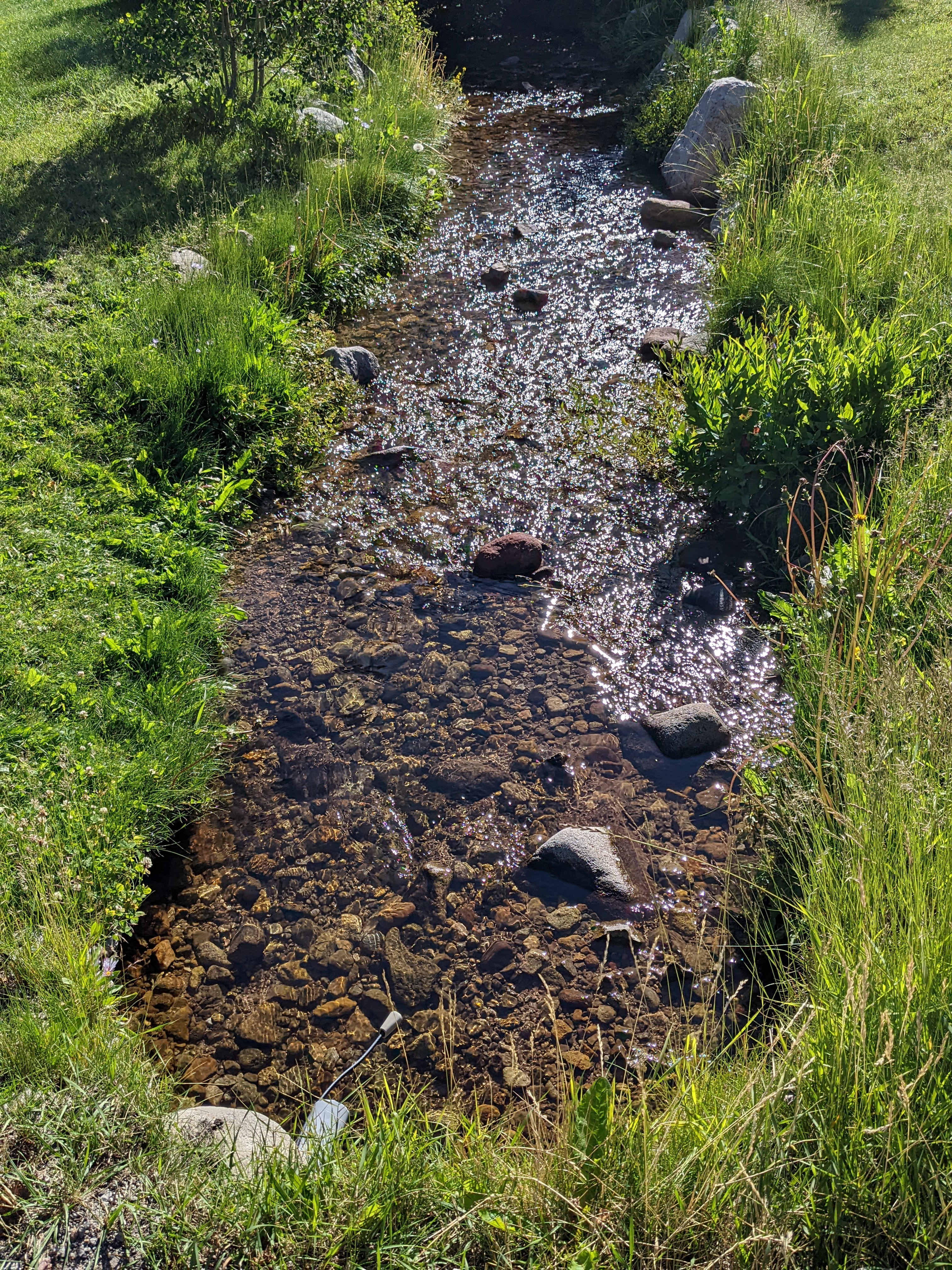 PXL 20220809 150228217