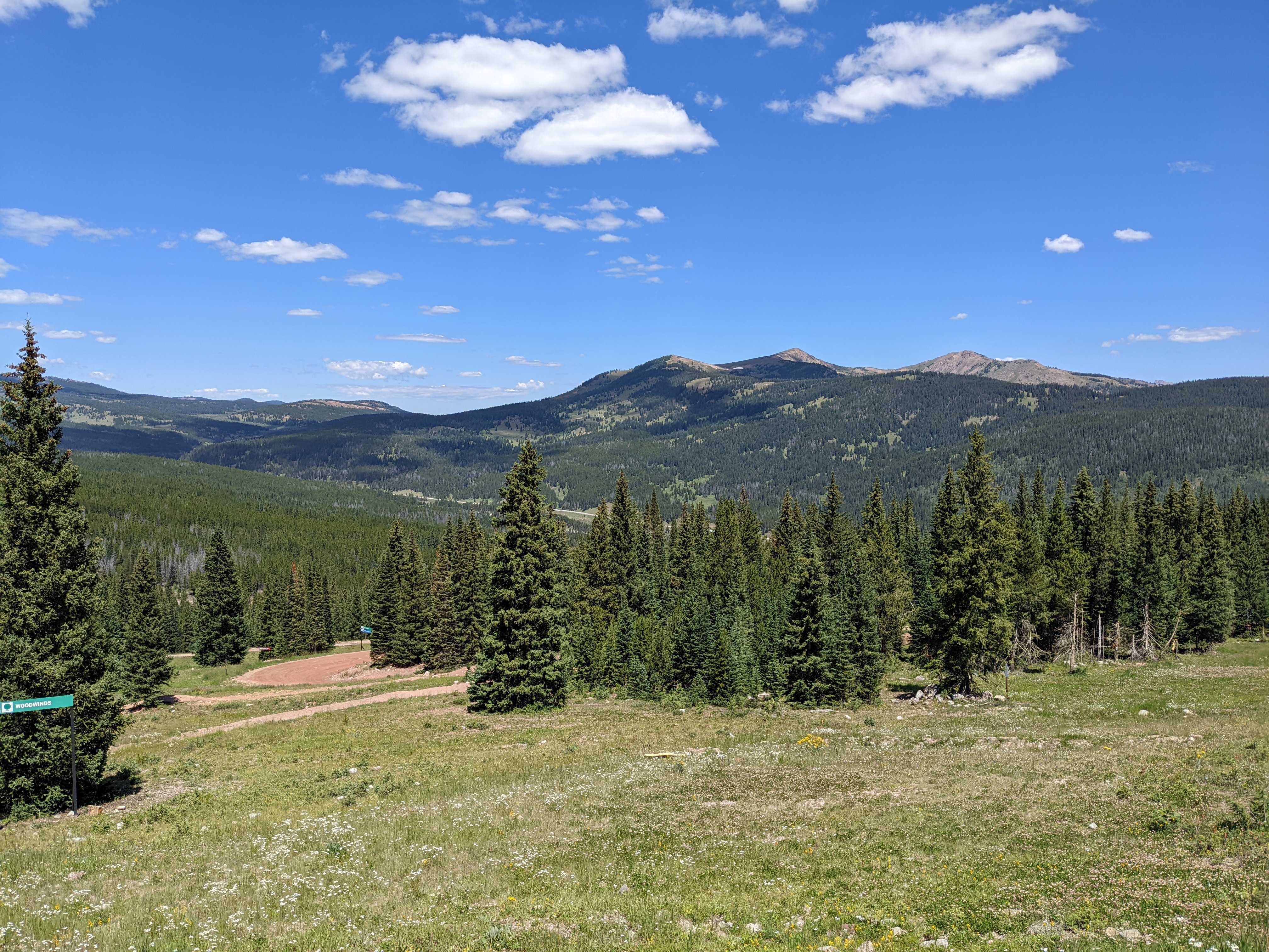 PXL 20220809 175547596