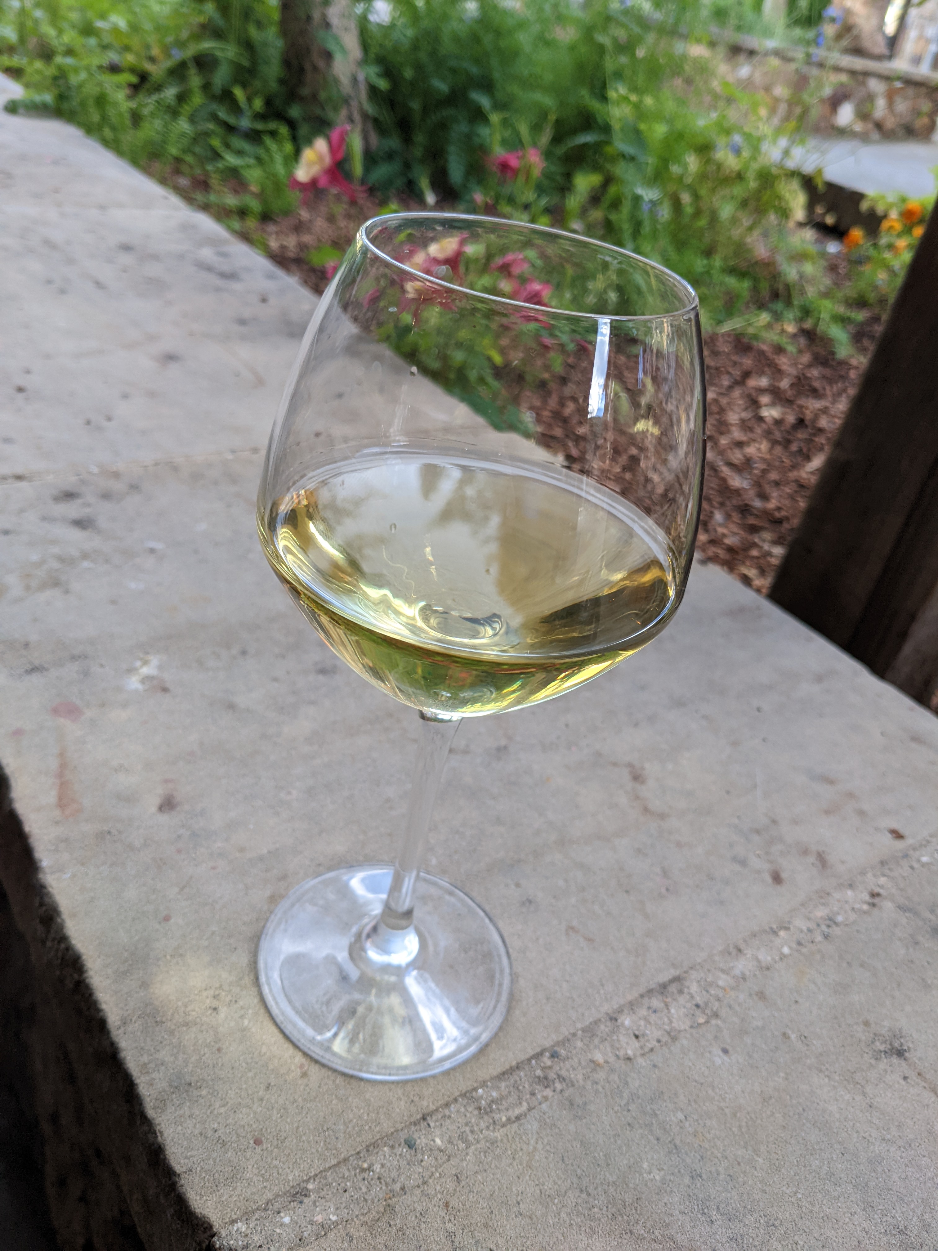 PXL 20220810 000849468