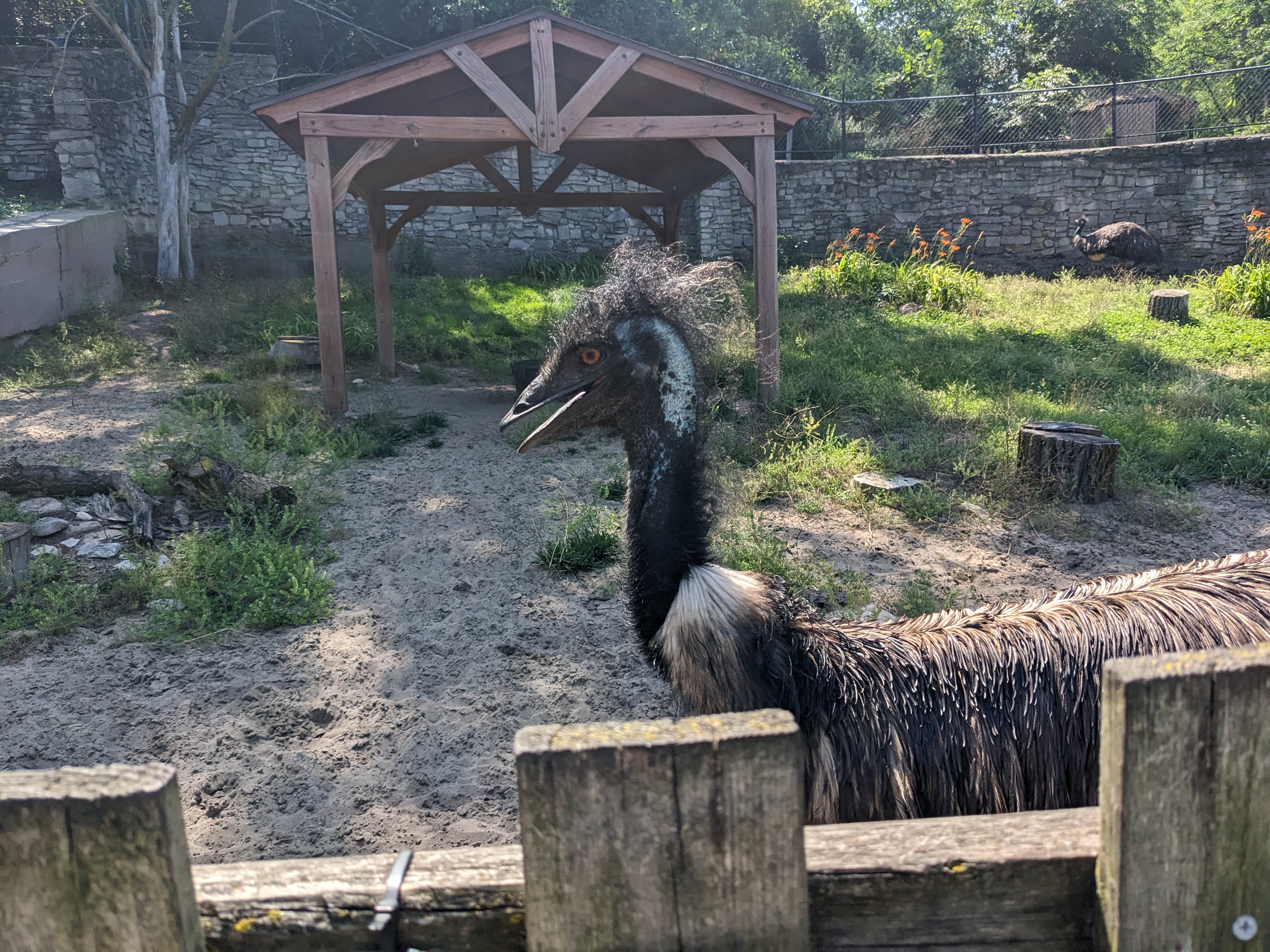 PXL 20230717 155548023