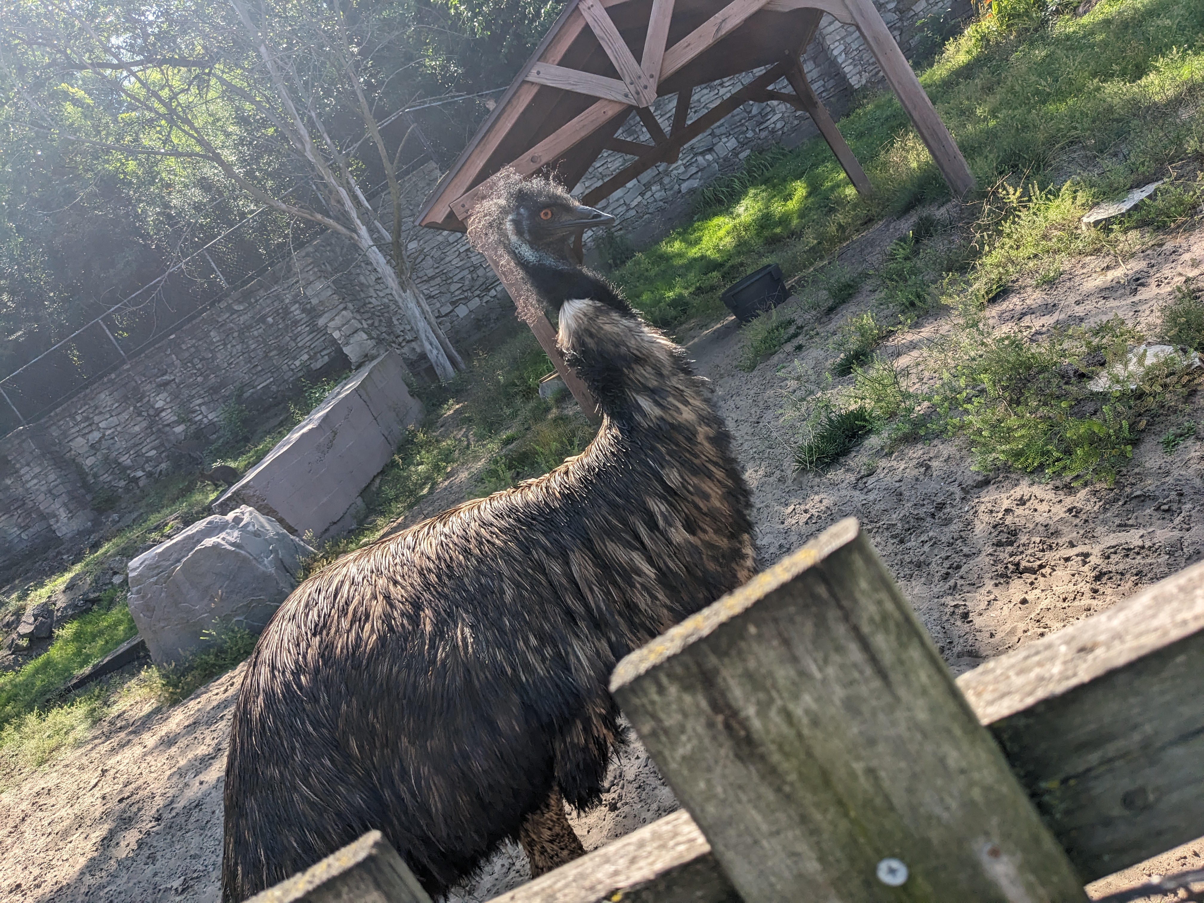 PXL 20230717 155616709