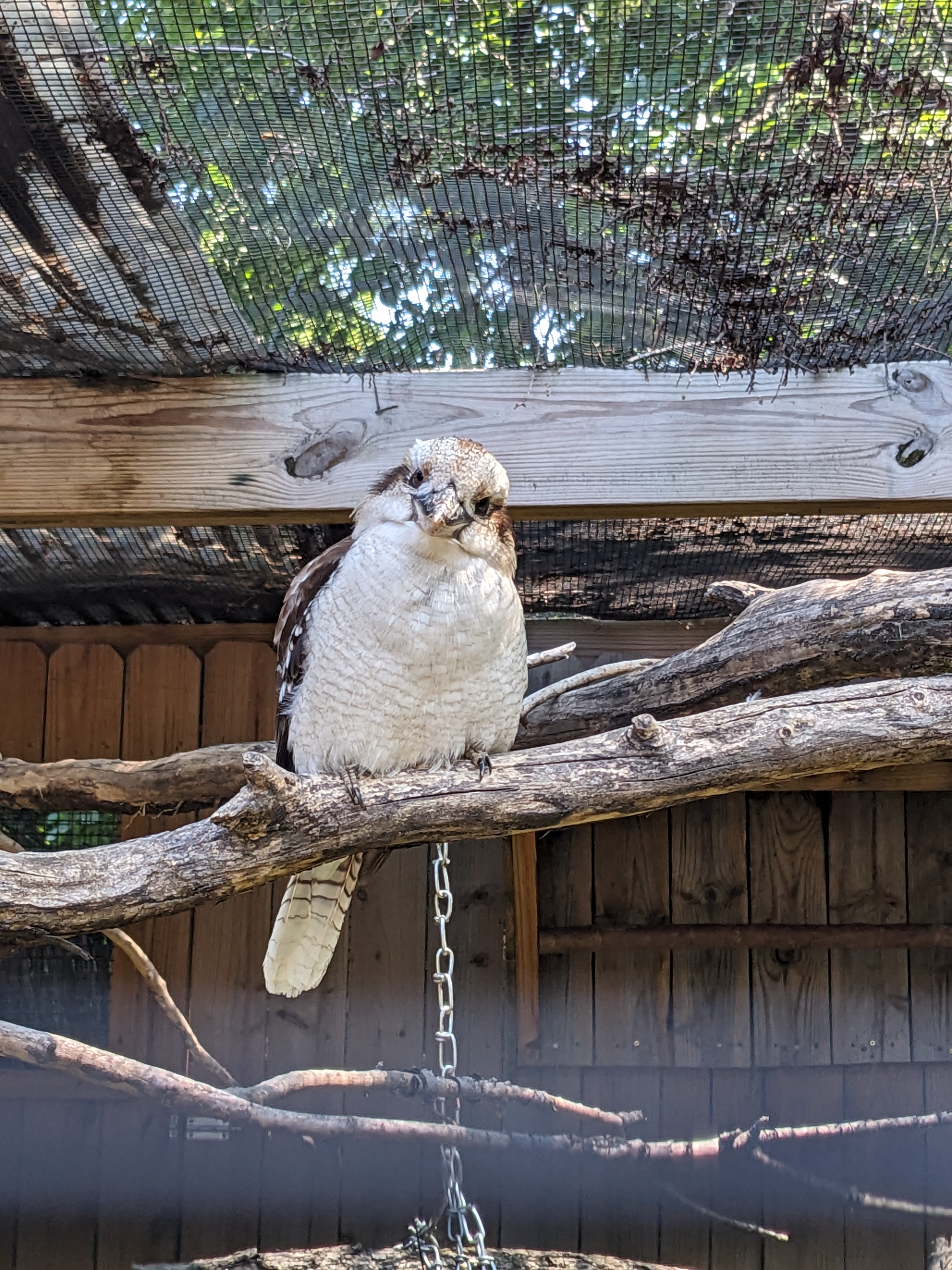 PXL 20230717 155700527