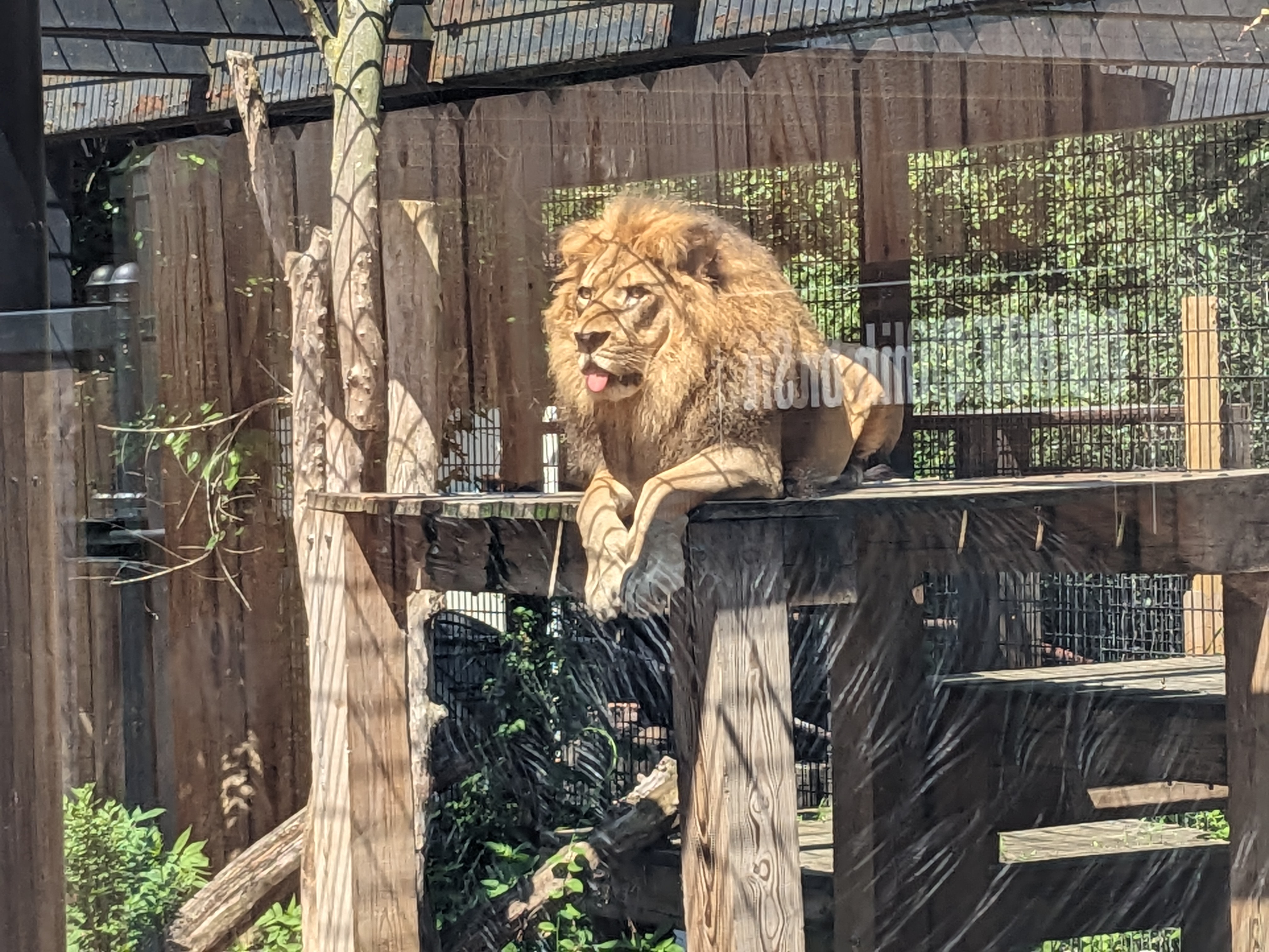 PXL 20230717 160027703