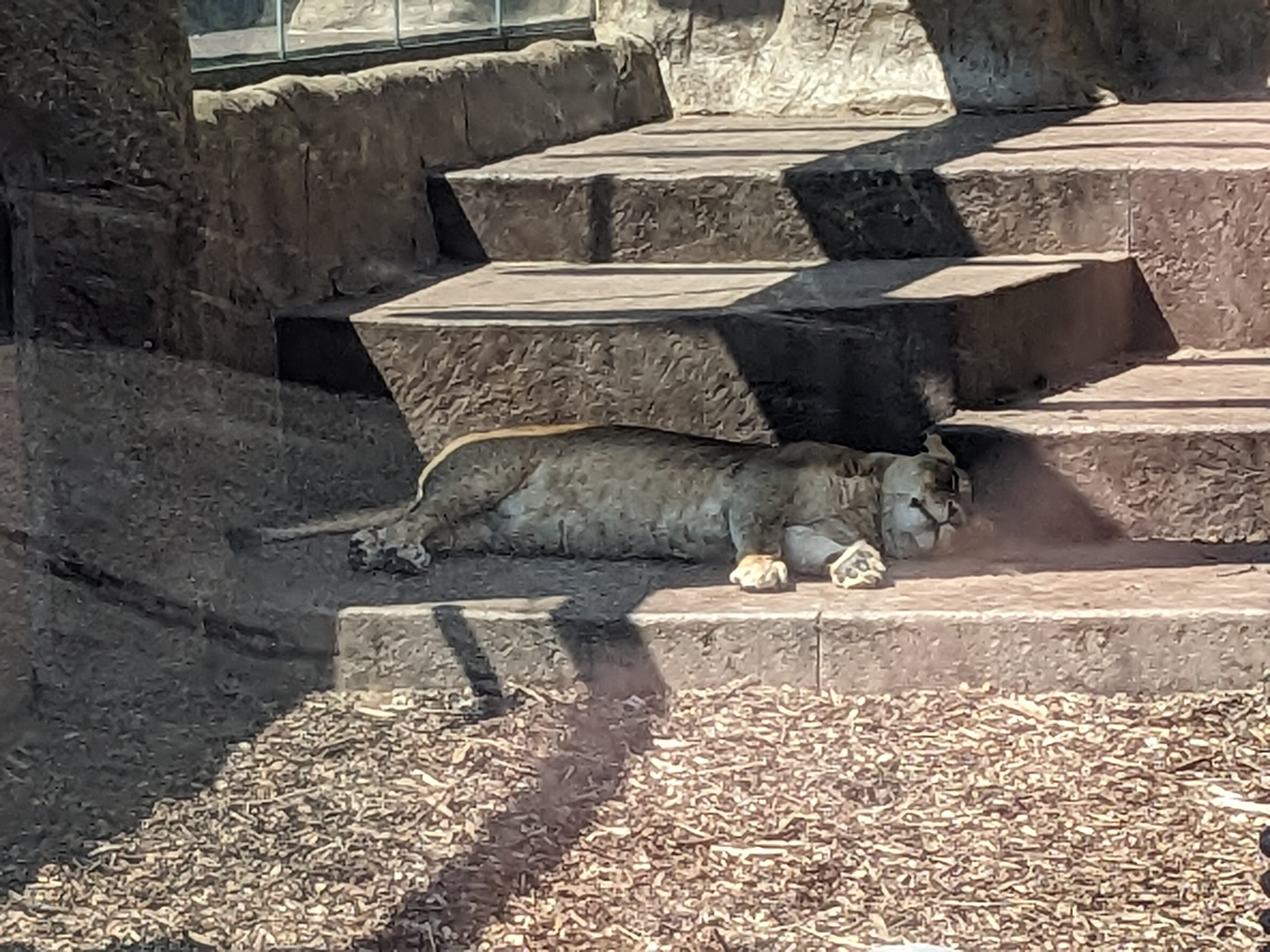 PXL 20230717 160035695