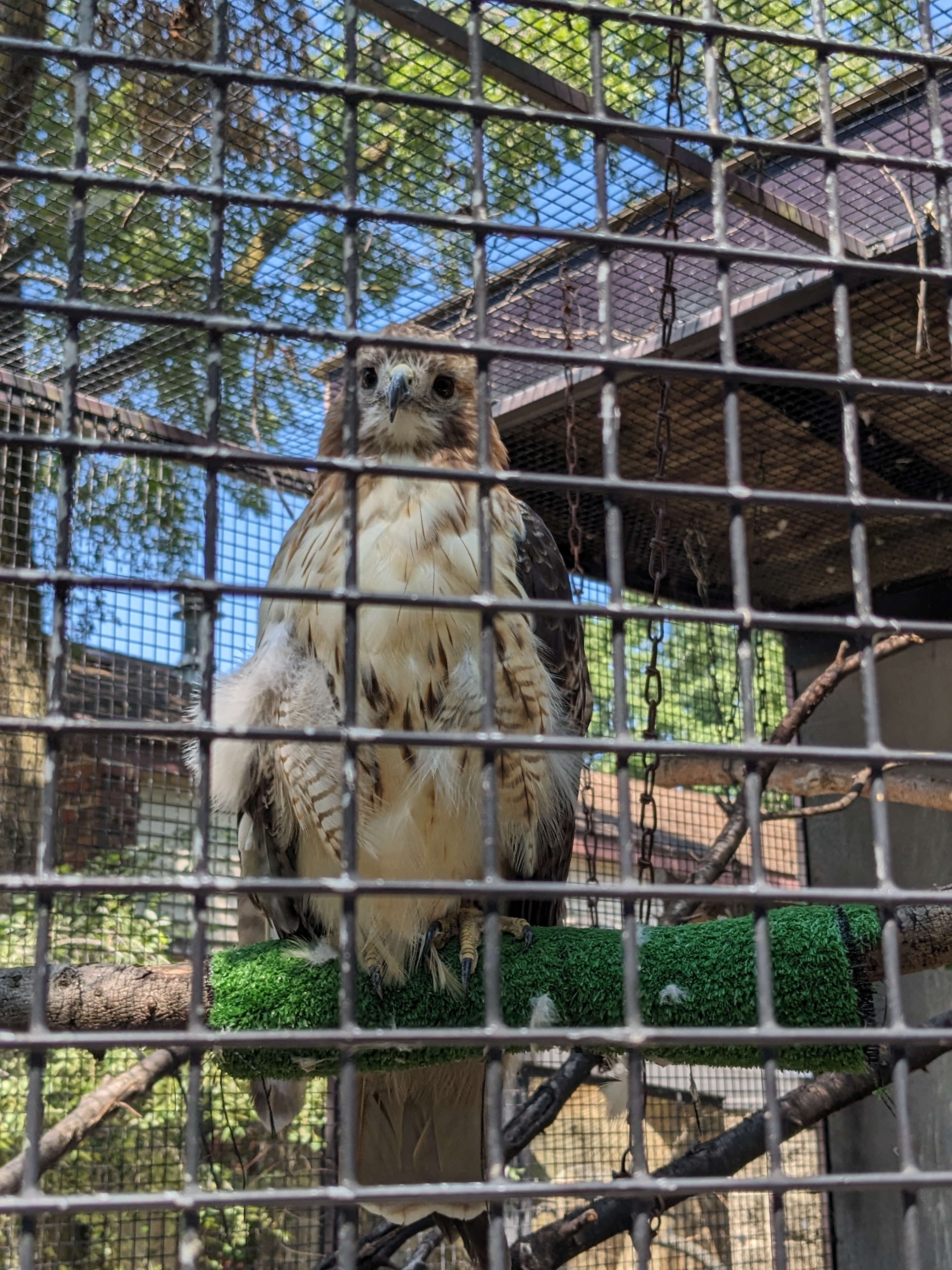 PXL 20230717 161529952