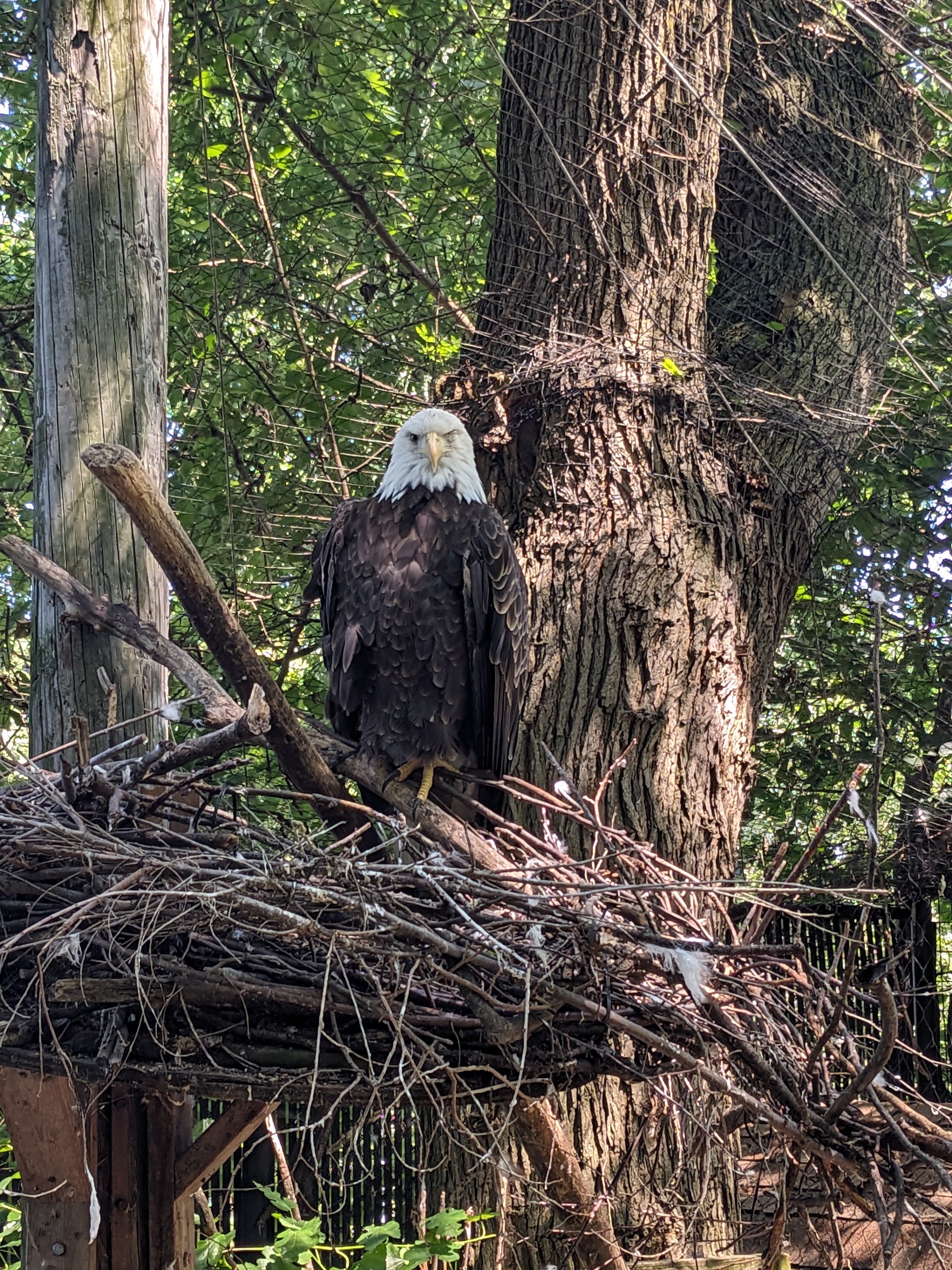 PXL 20230717 162025357