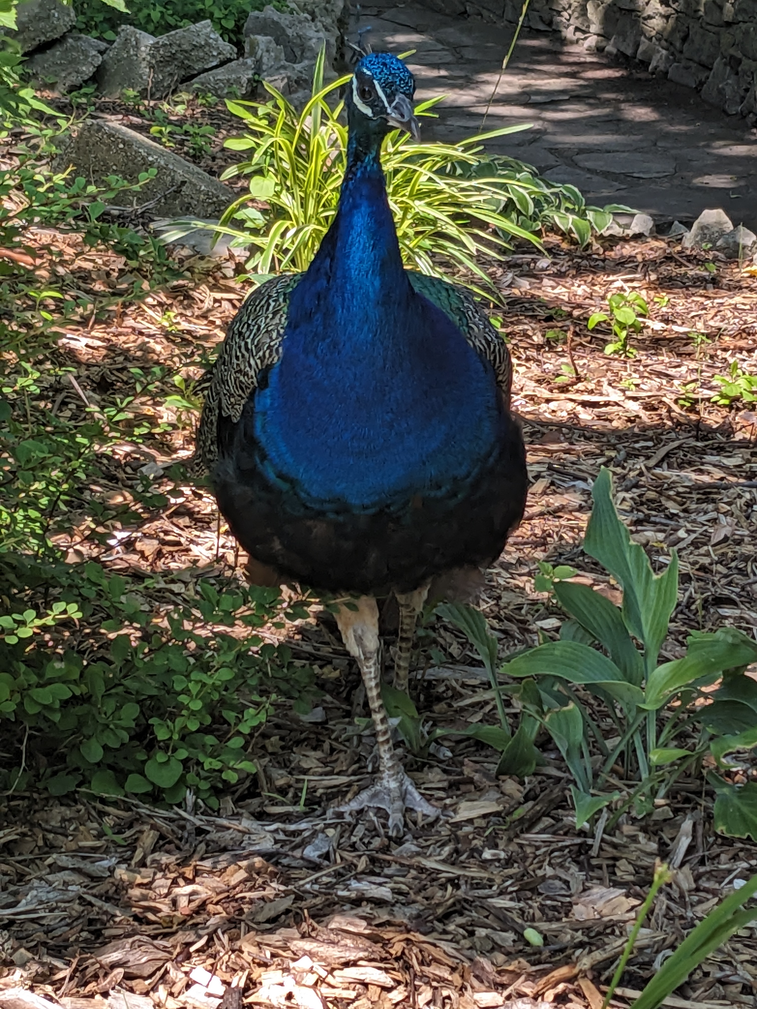 PXL 20230717 162256692