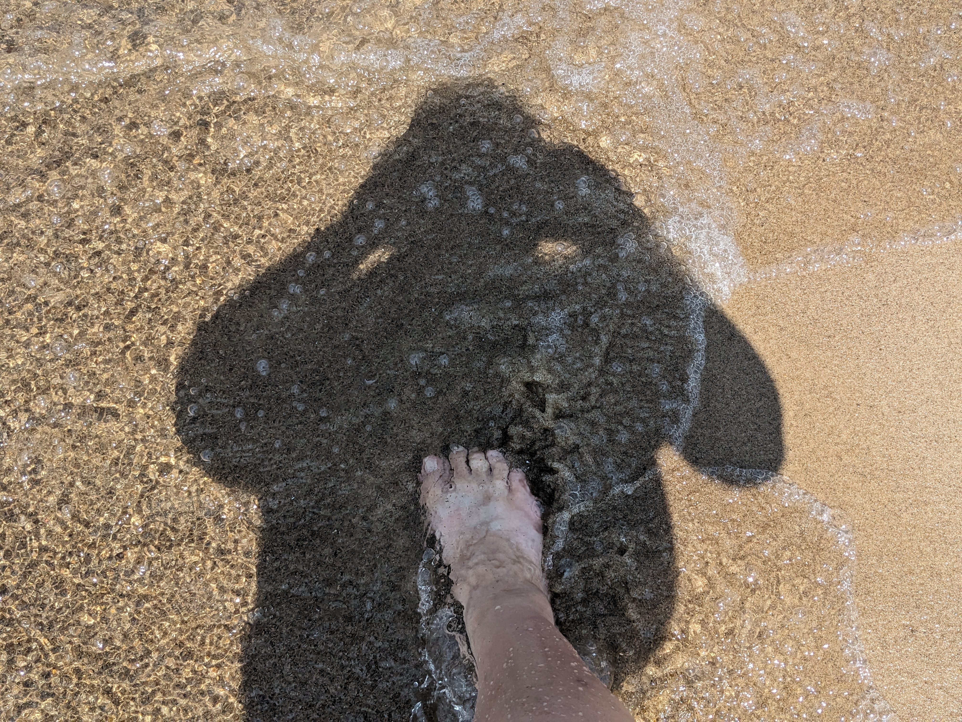 PXL 20230717 192445061